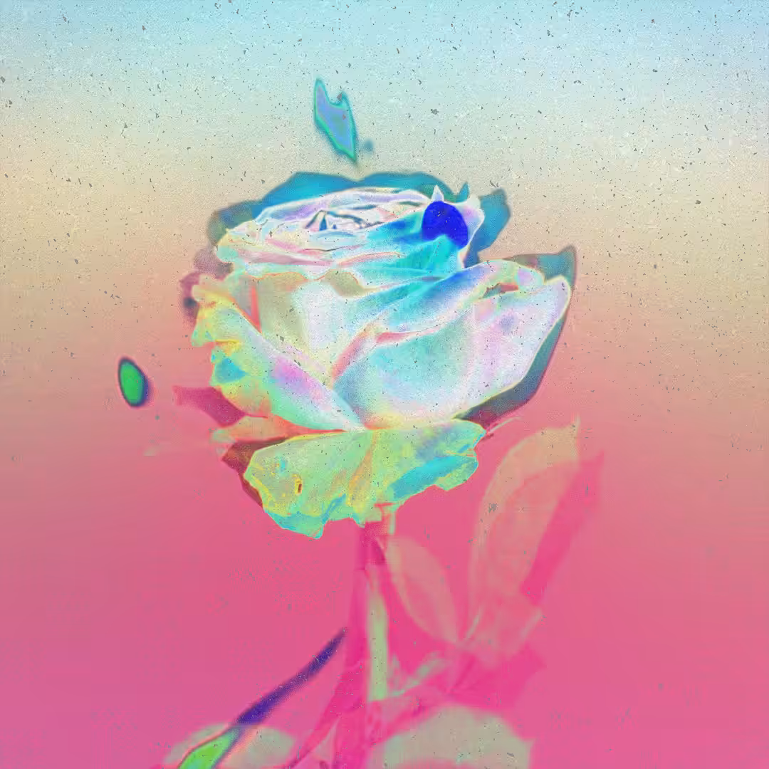 Flor de fuego 4