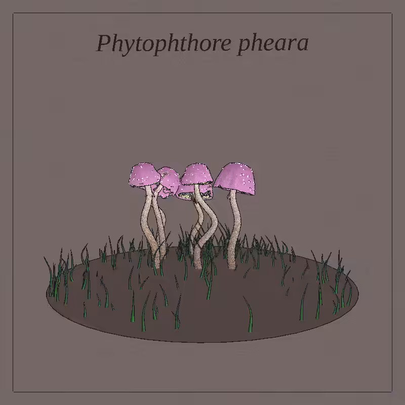 SHROOMS 3D #51