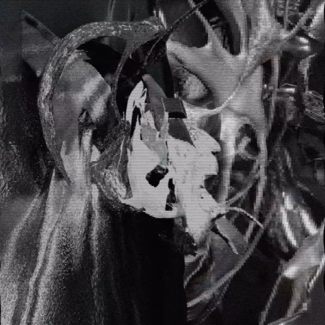 ˈdɪdʒɪt(ə)l] [STORY]