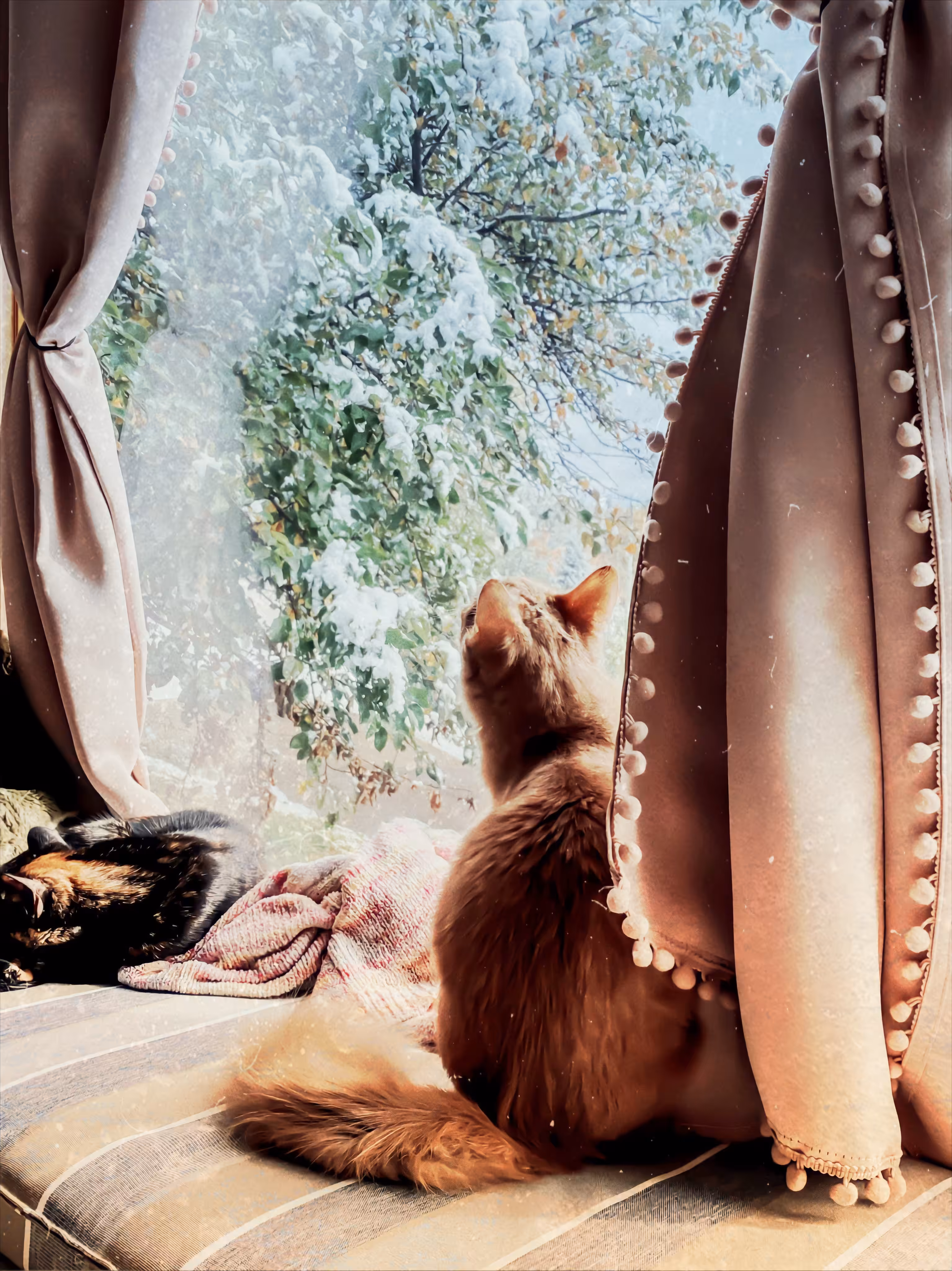 Innocent Fascination