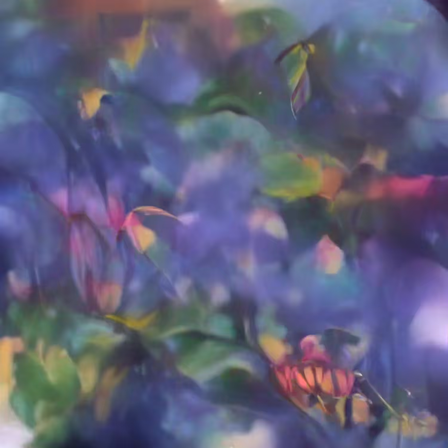 Entangled Forest