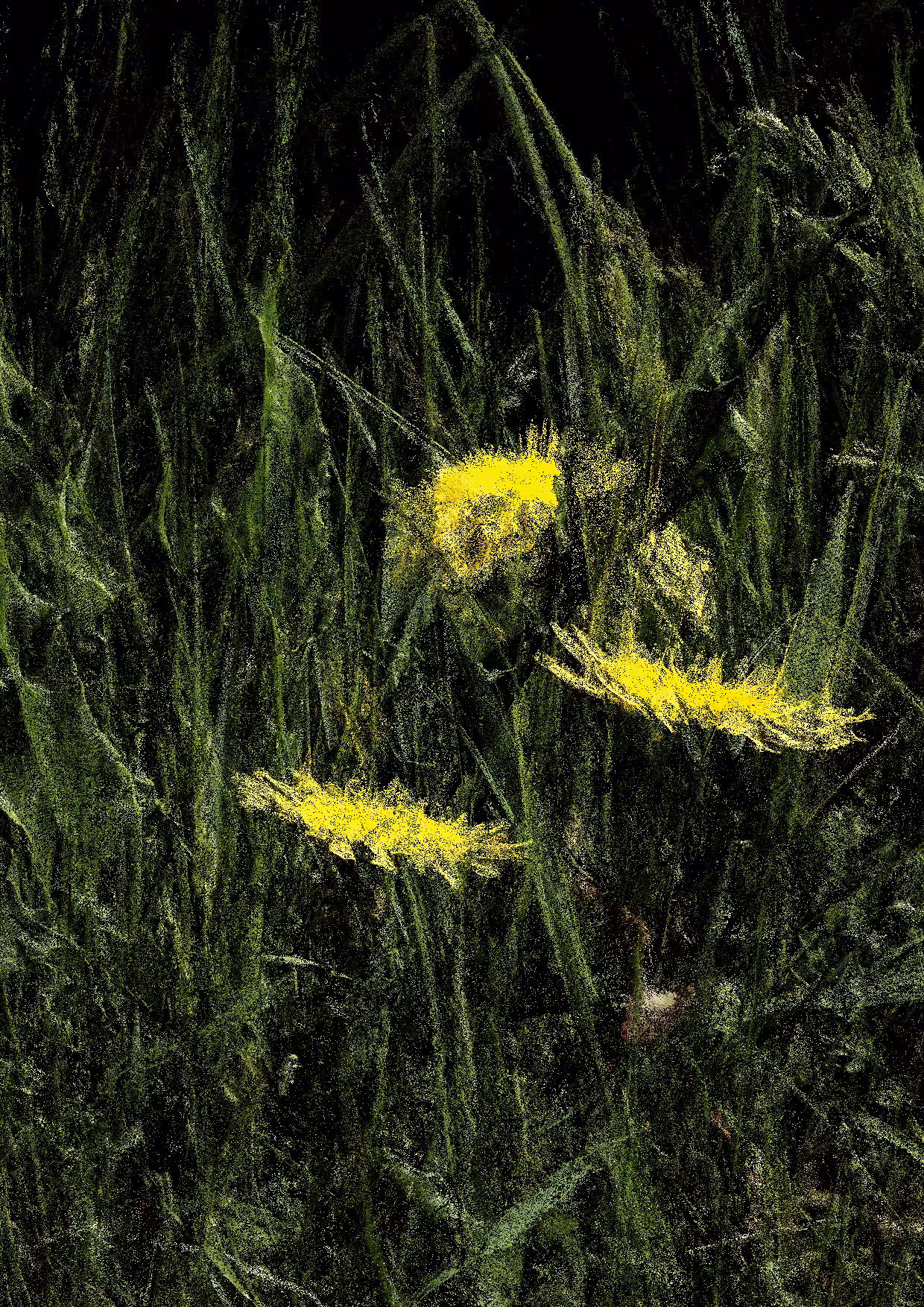 Overgrowth 0008