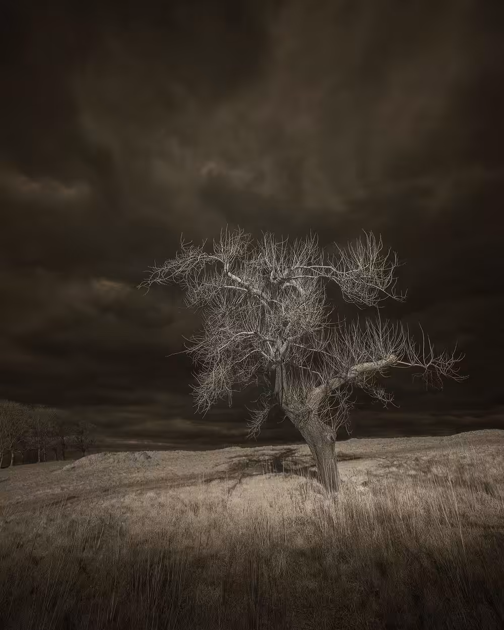 Dark Skies