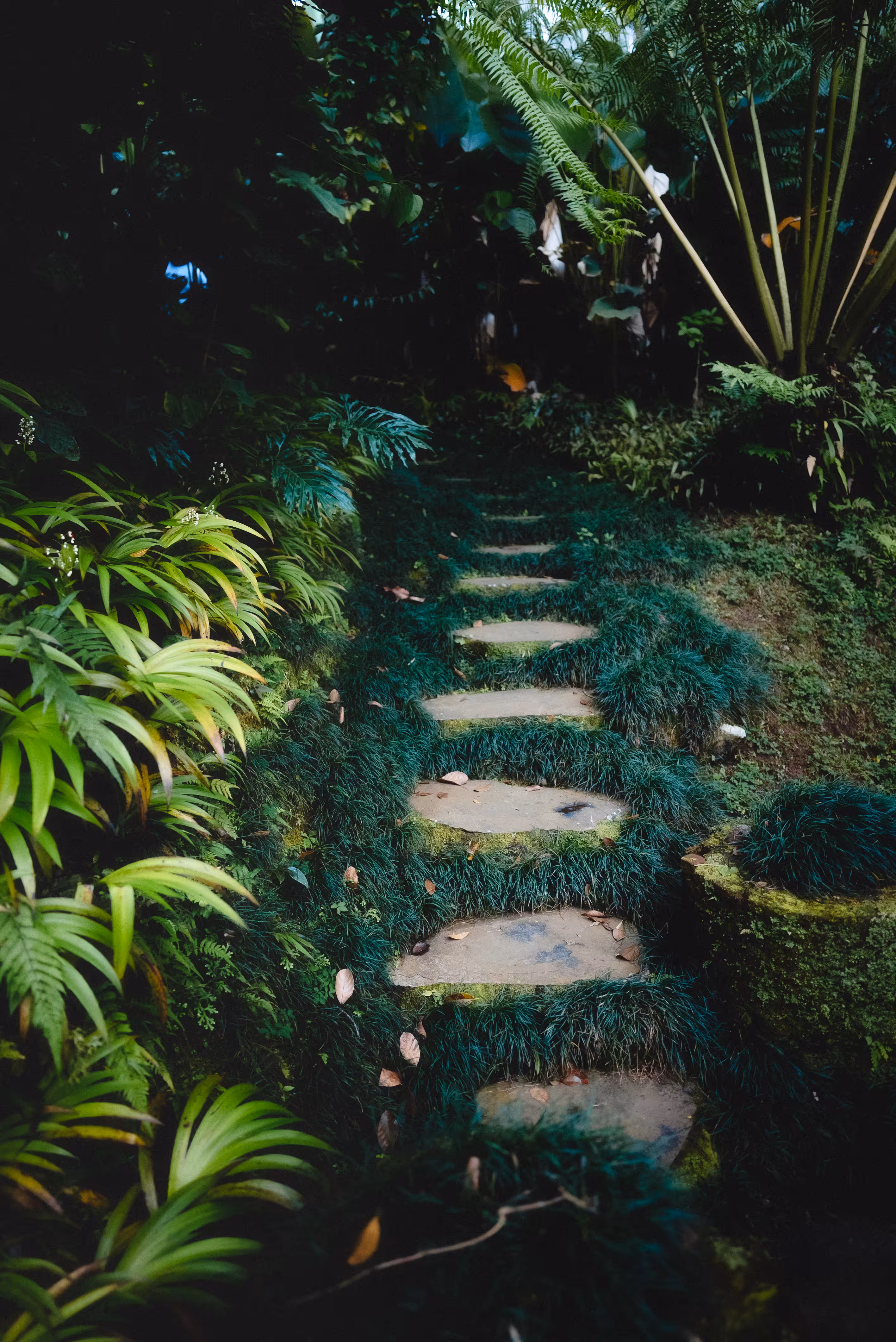 Stairway
