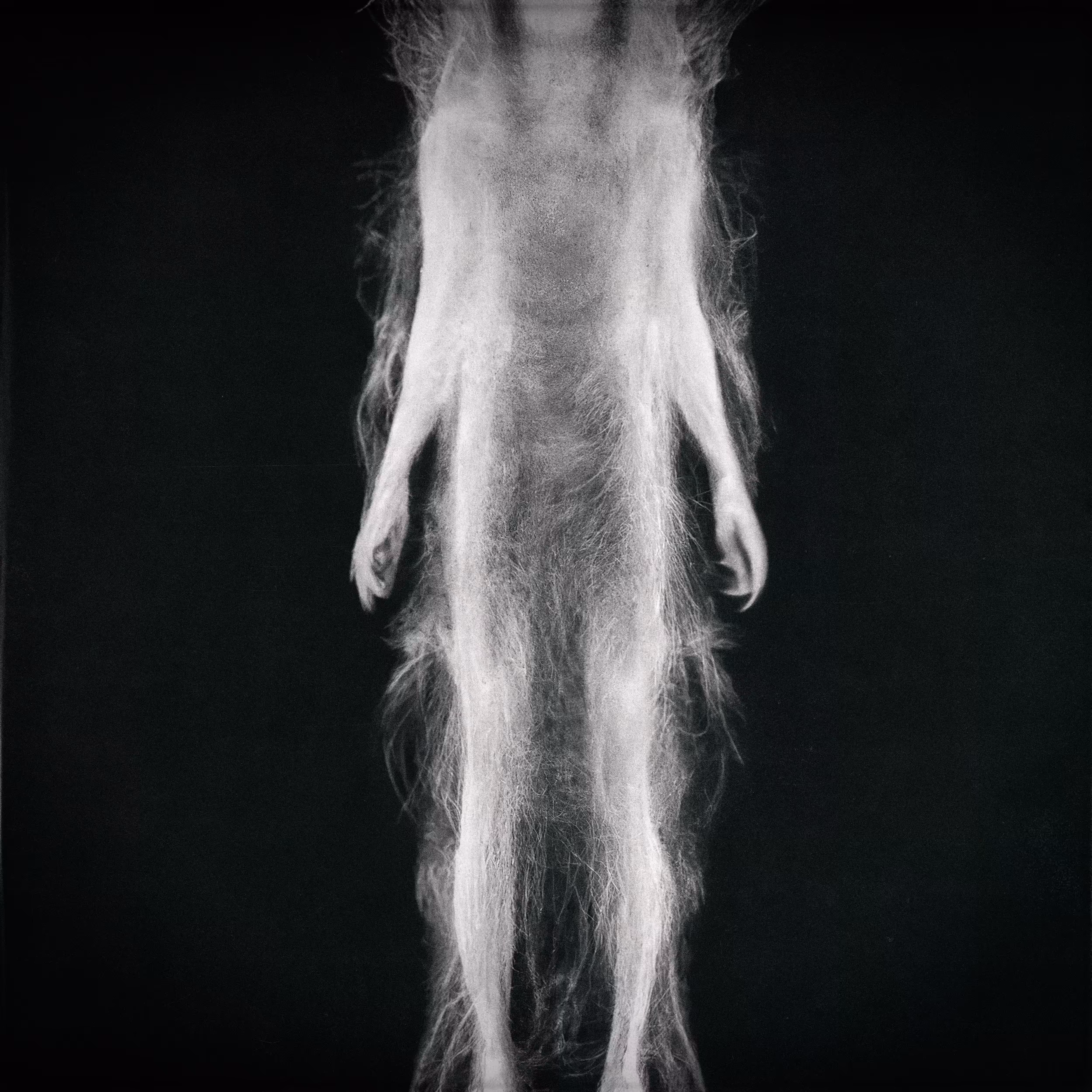 unique AURA #55