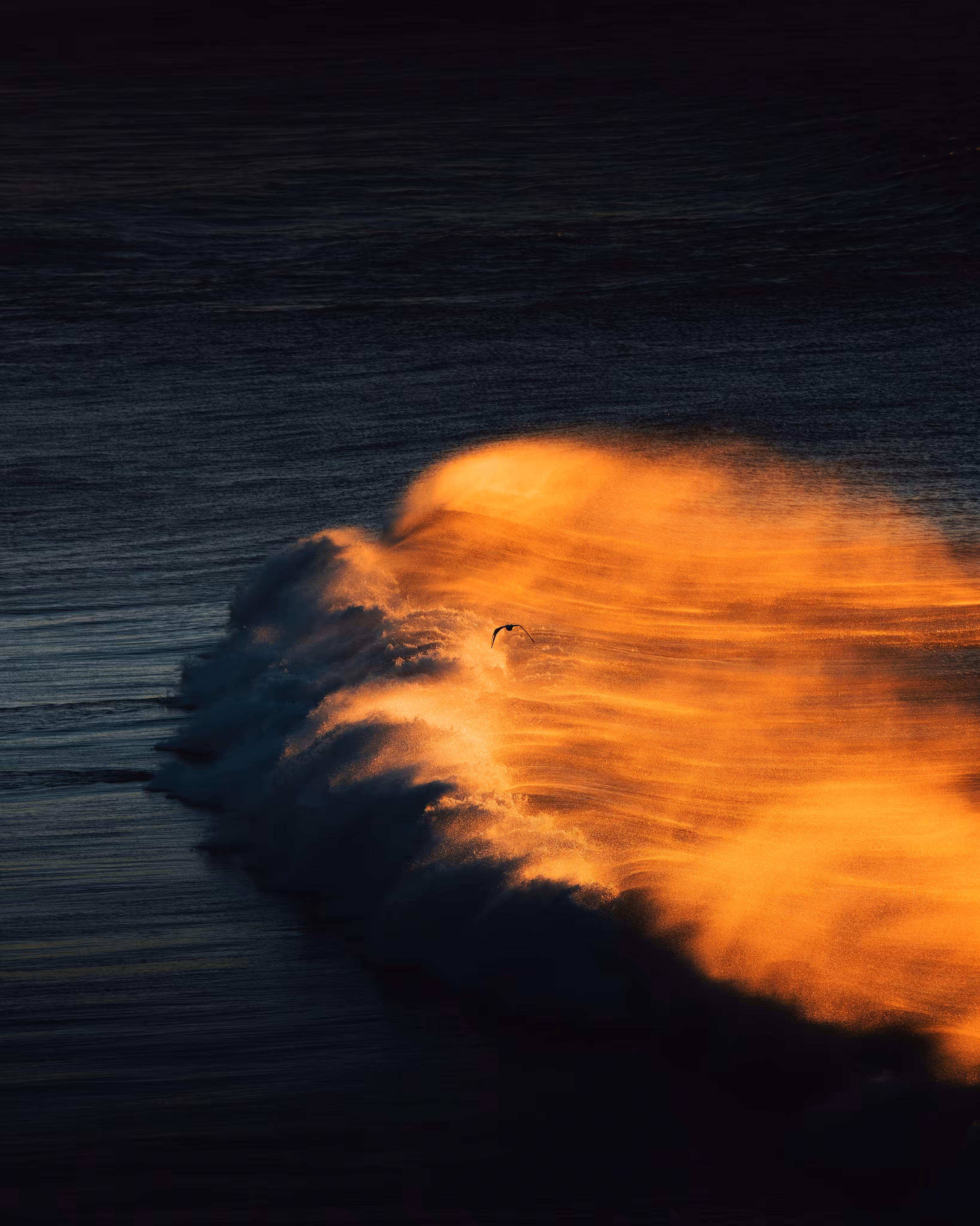 Golden Breeze