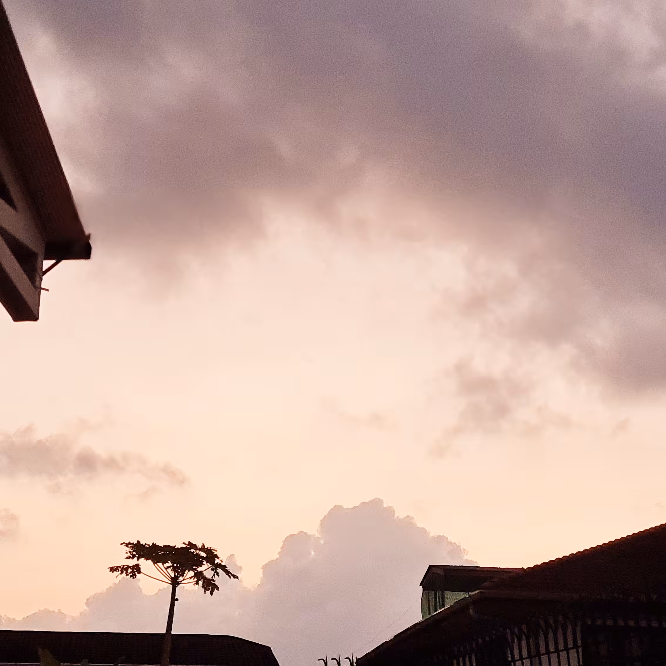 One Morning #1