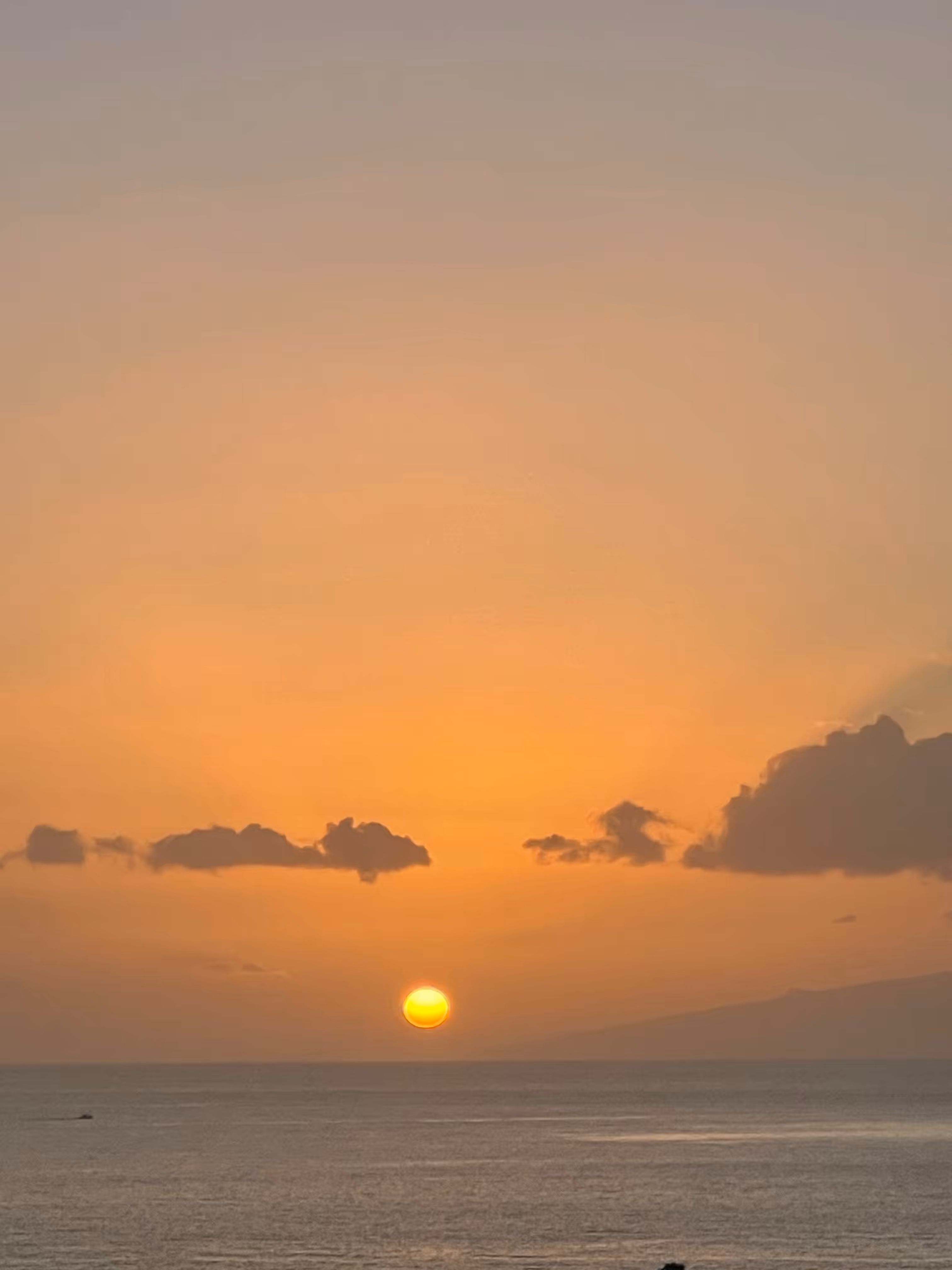 sunset1