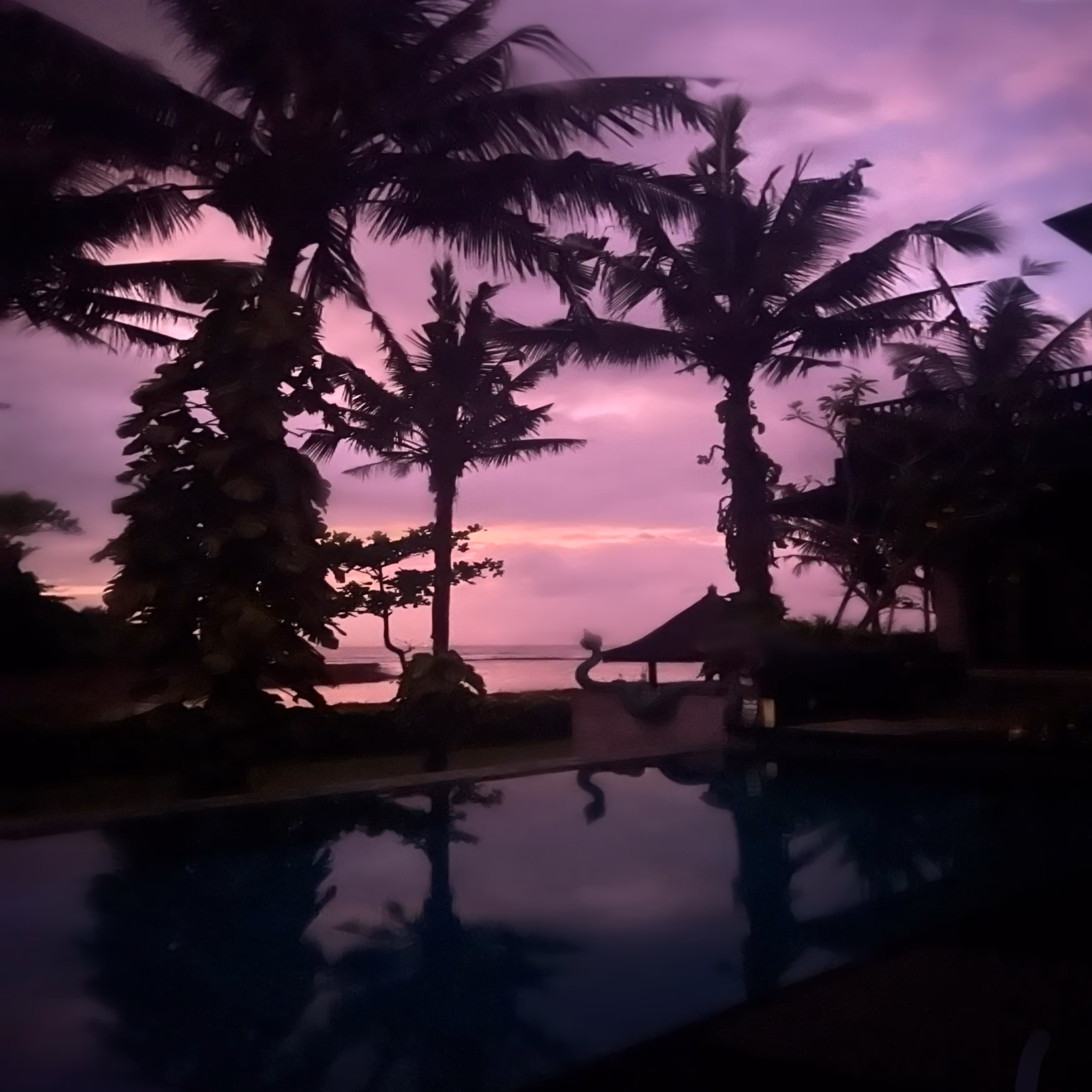 Twilight 