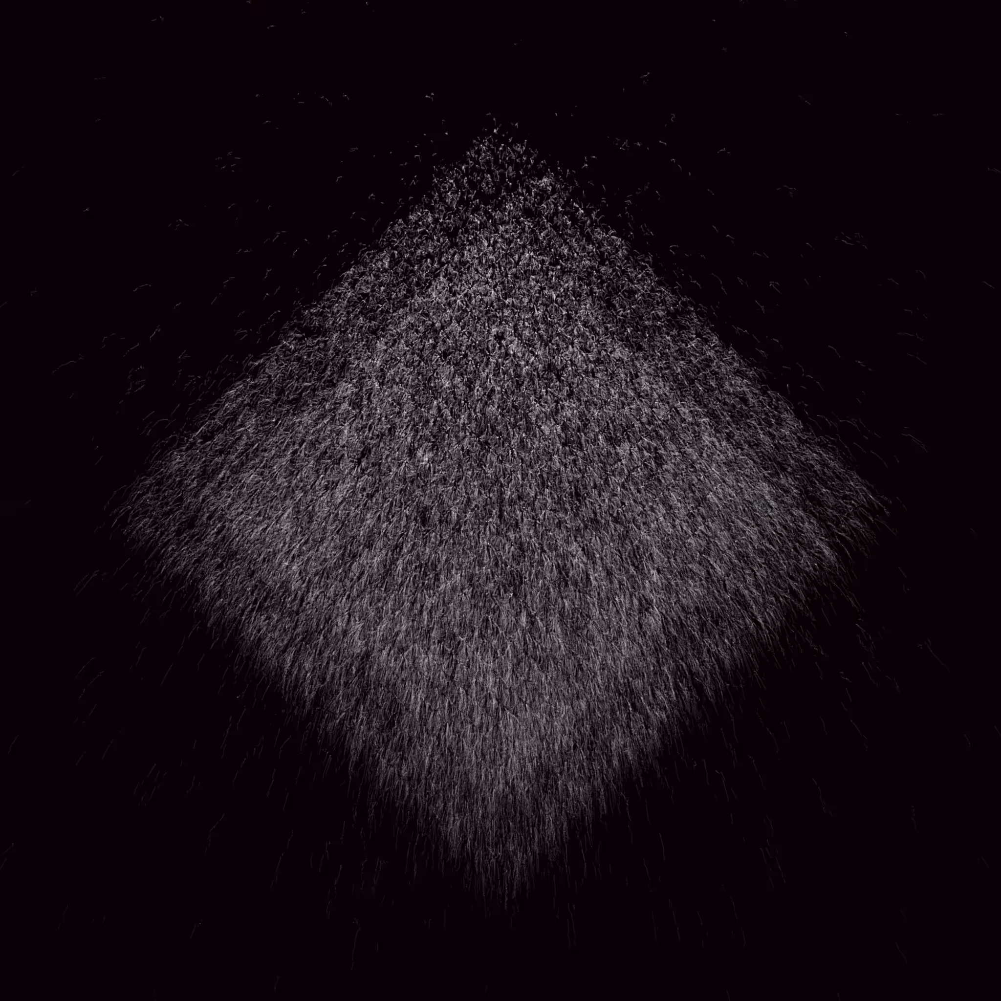 Amerkle #644