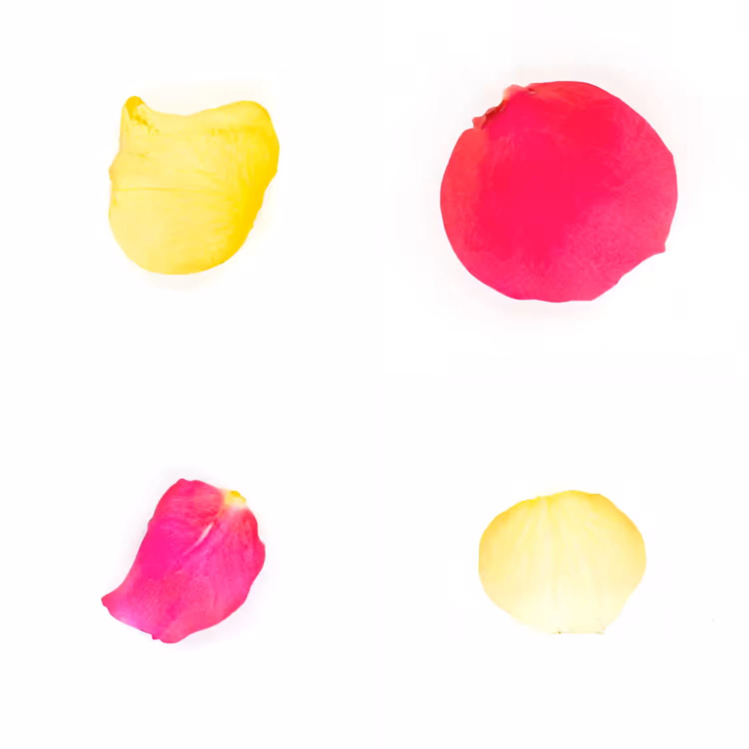 Infinite Petals 2x2#20083