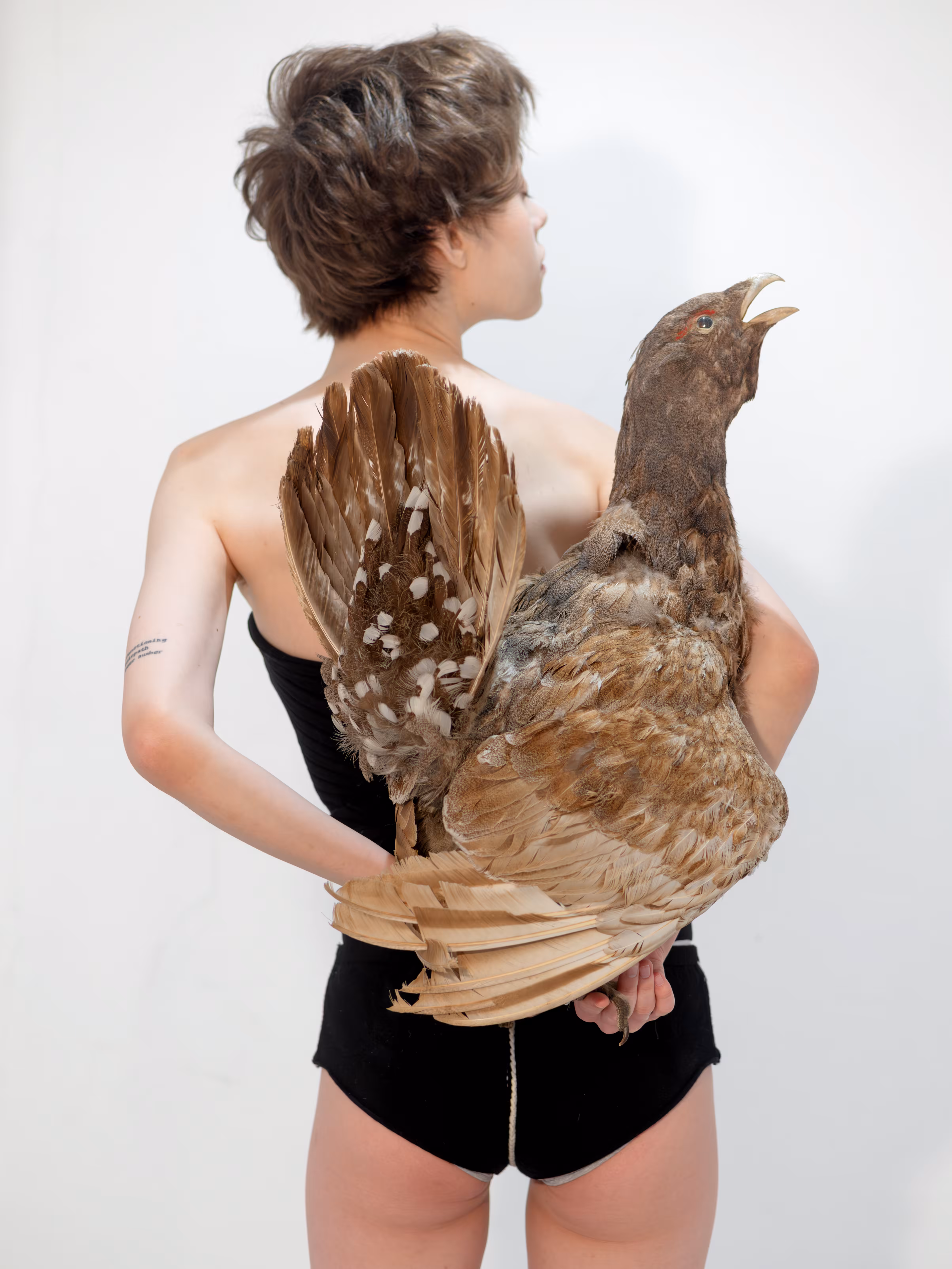 This Bird