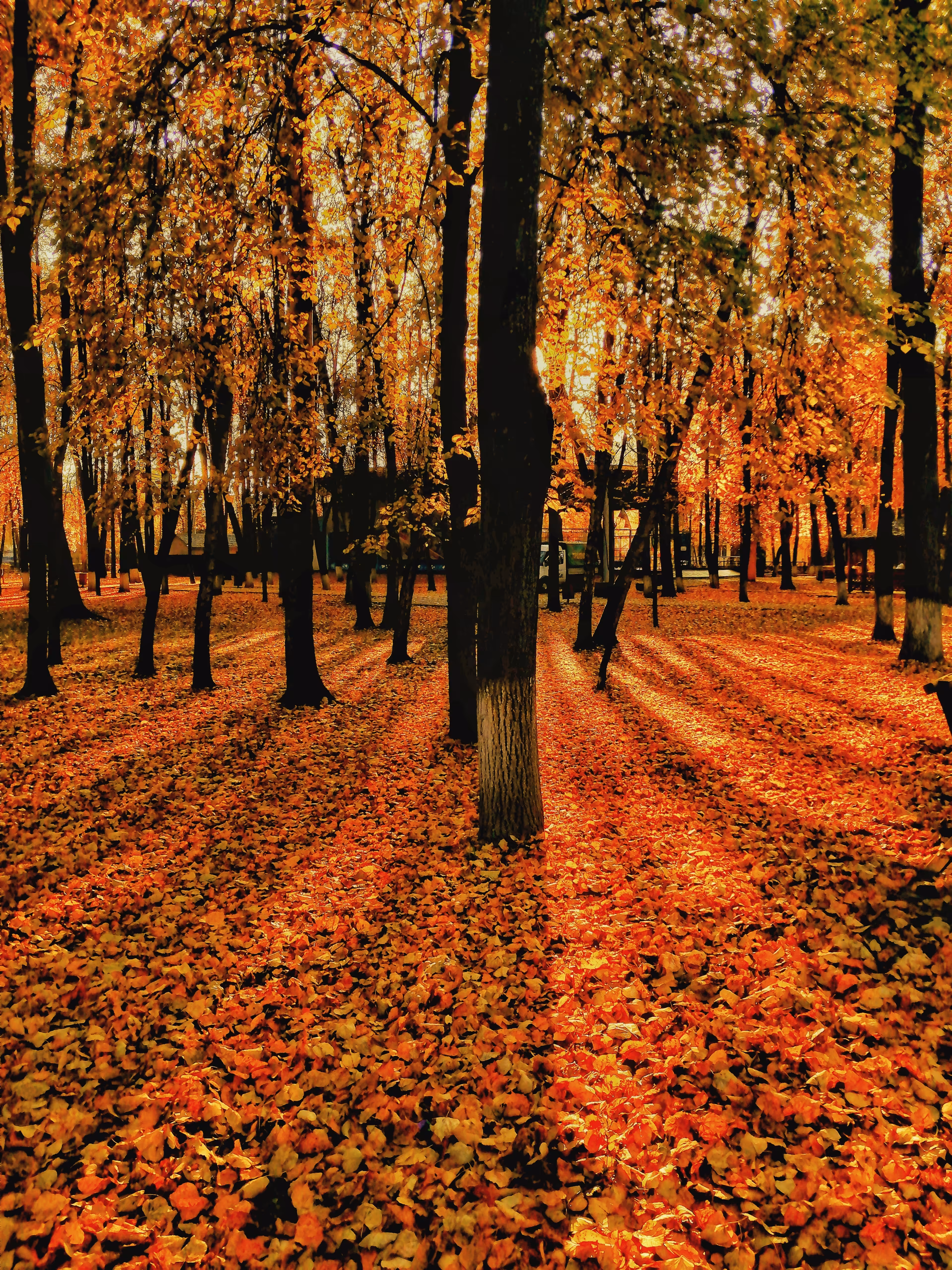 AUTUMN FAIRY TALE #1