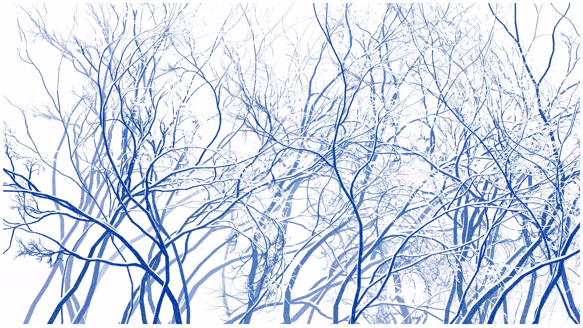SCHNEEWALD #195