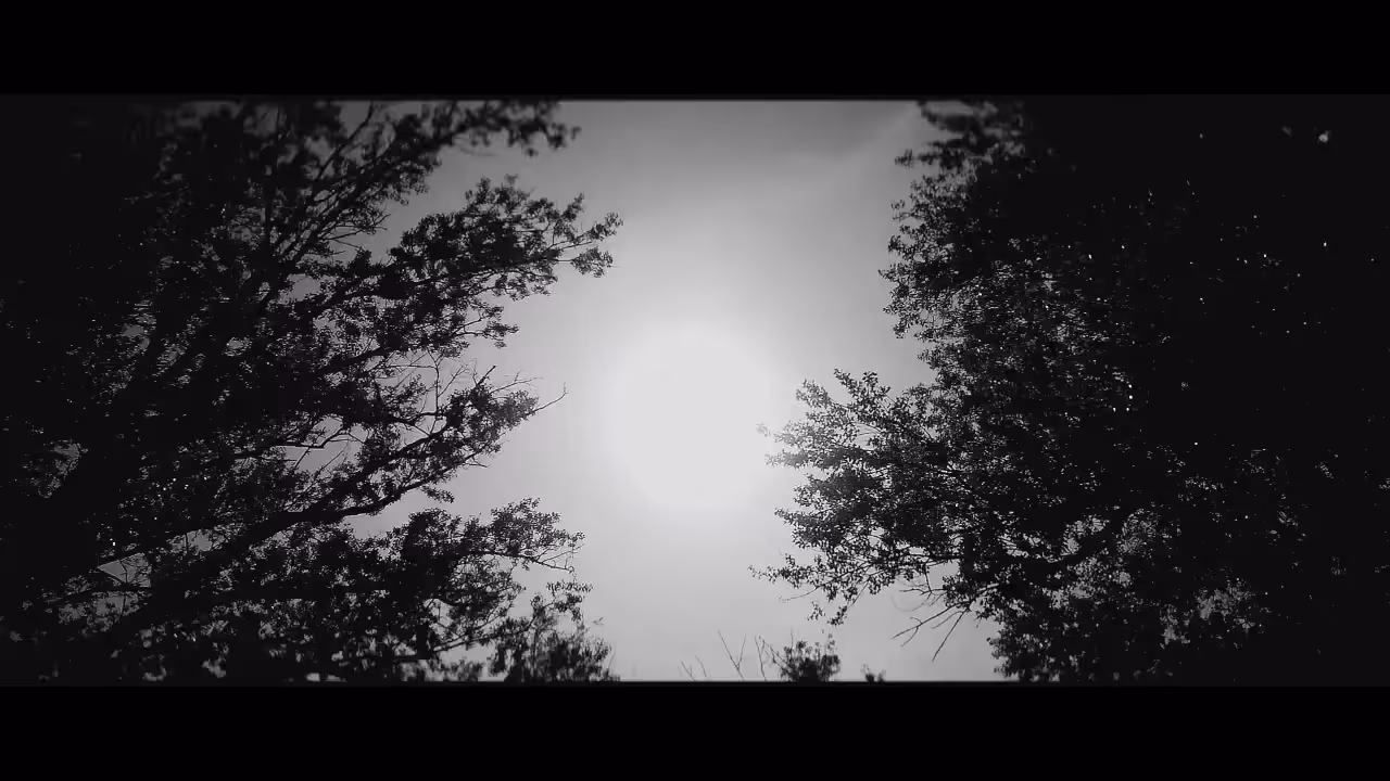Nude Film -Naked Women