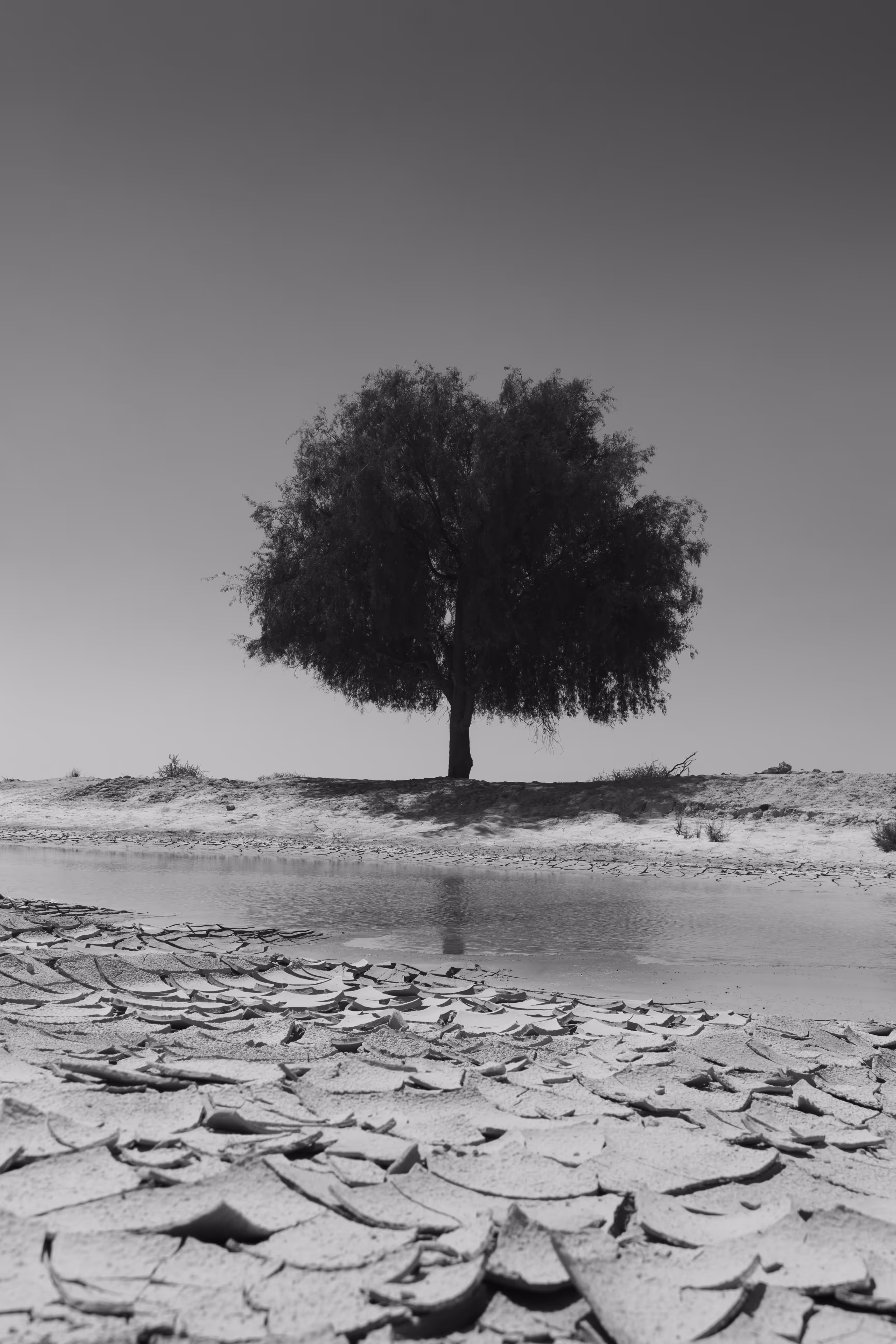 Distant and Alone