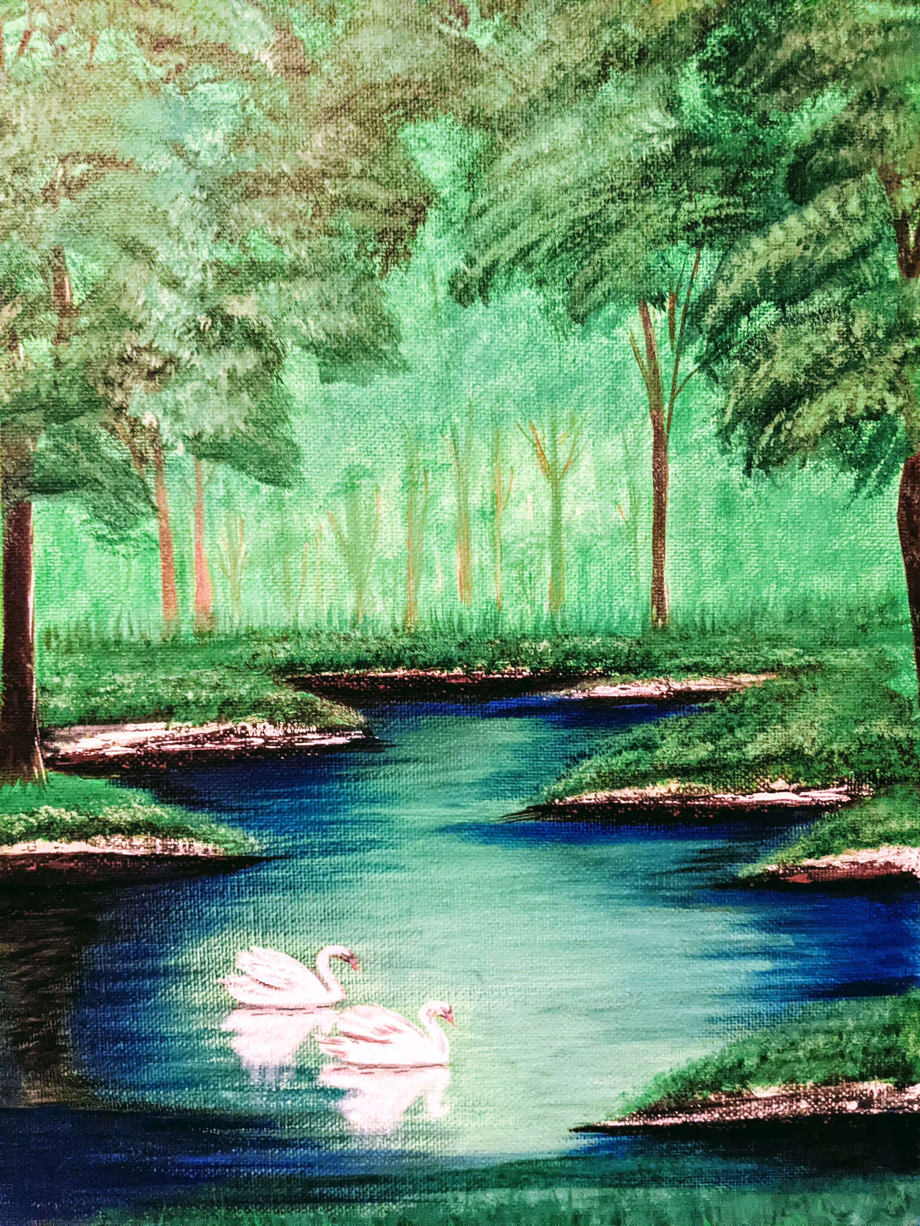Swans Pond 1 of 1