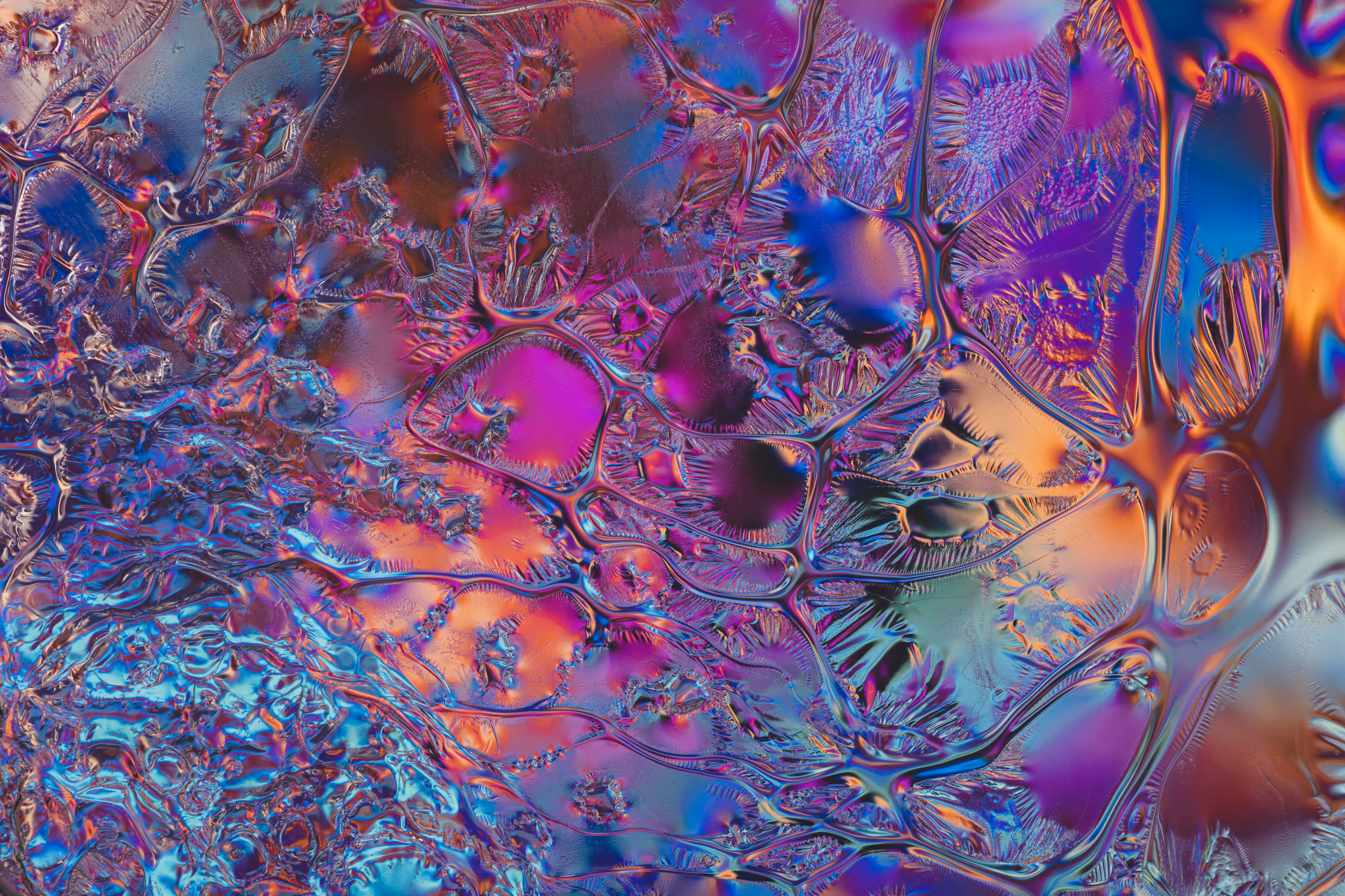 Neurons No.1