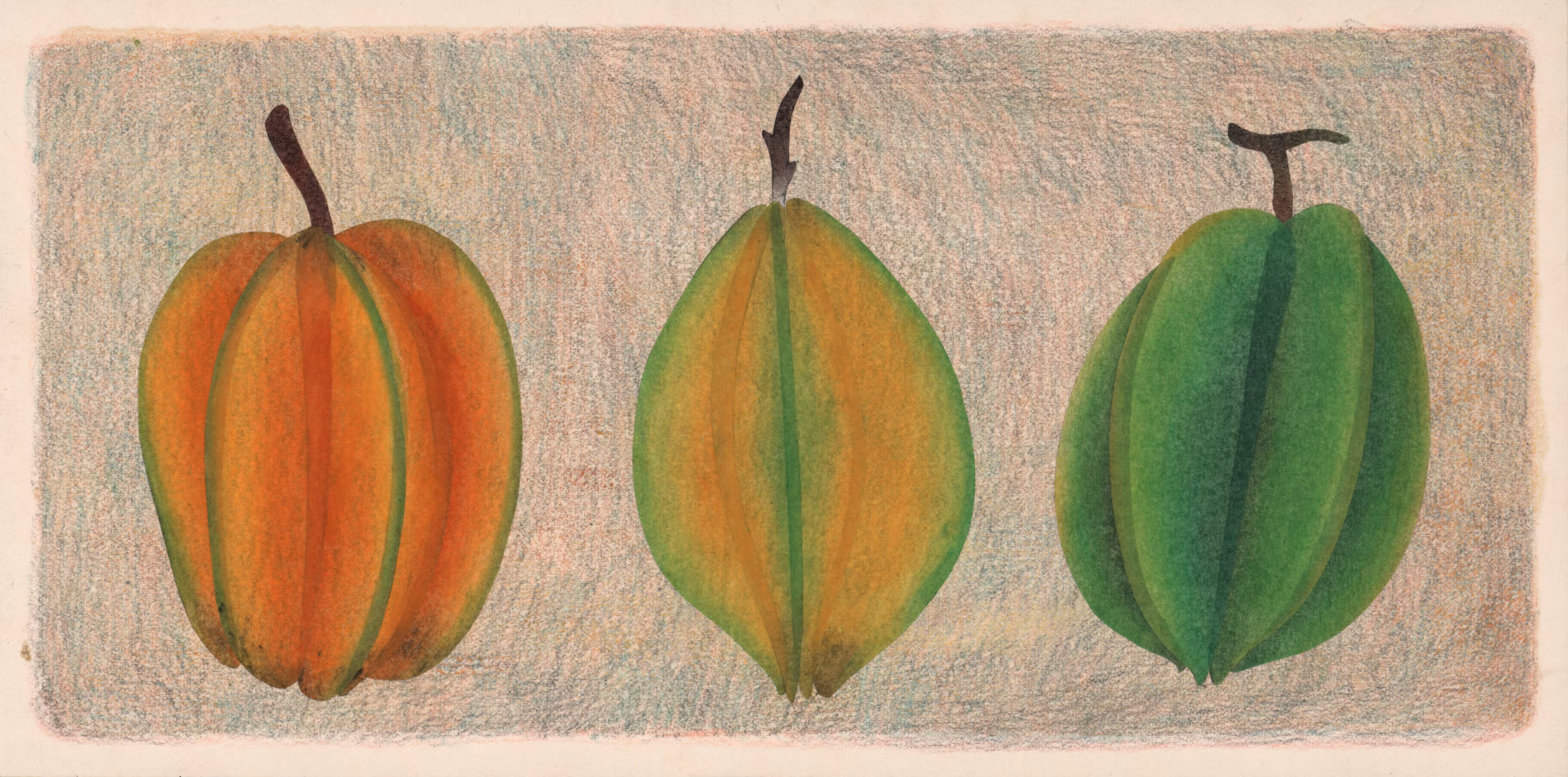 The star fruit therapy