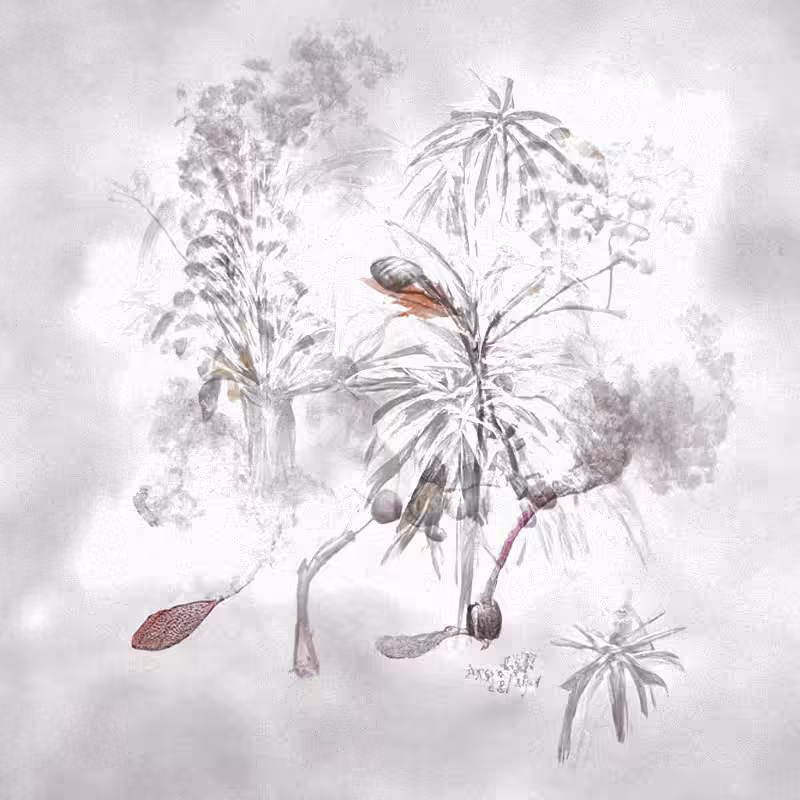 Hauntological Herbarium #37