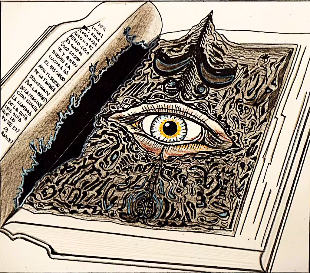 THE OBSERVER