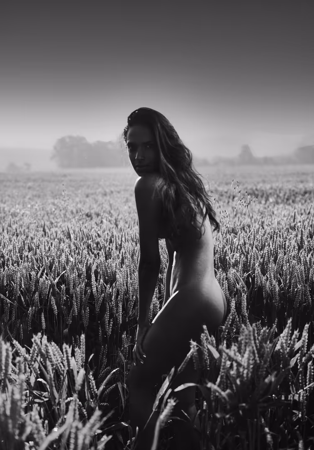 In The Moment - Looking Back - Fields of Gold