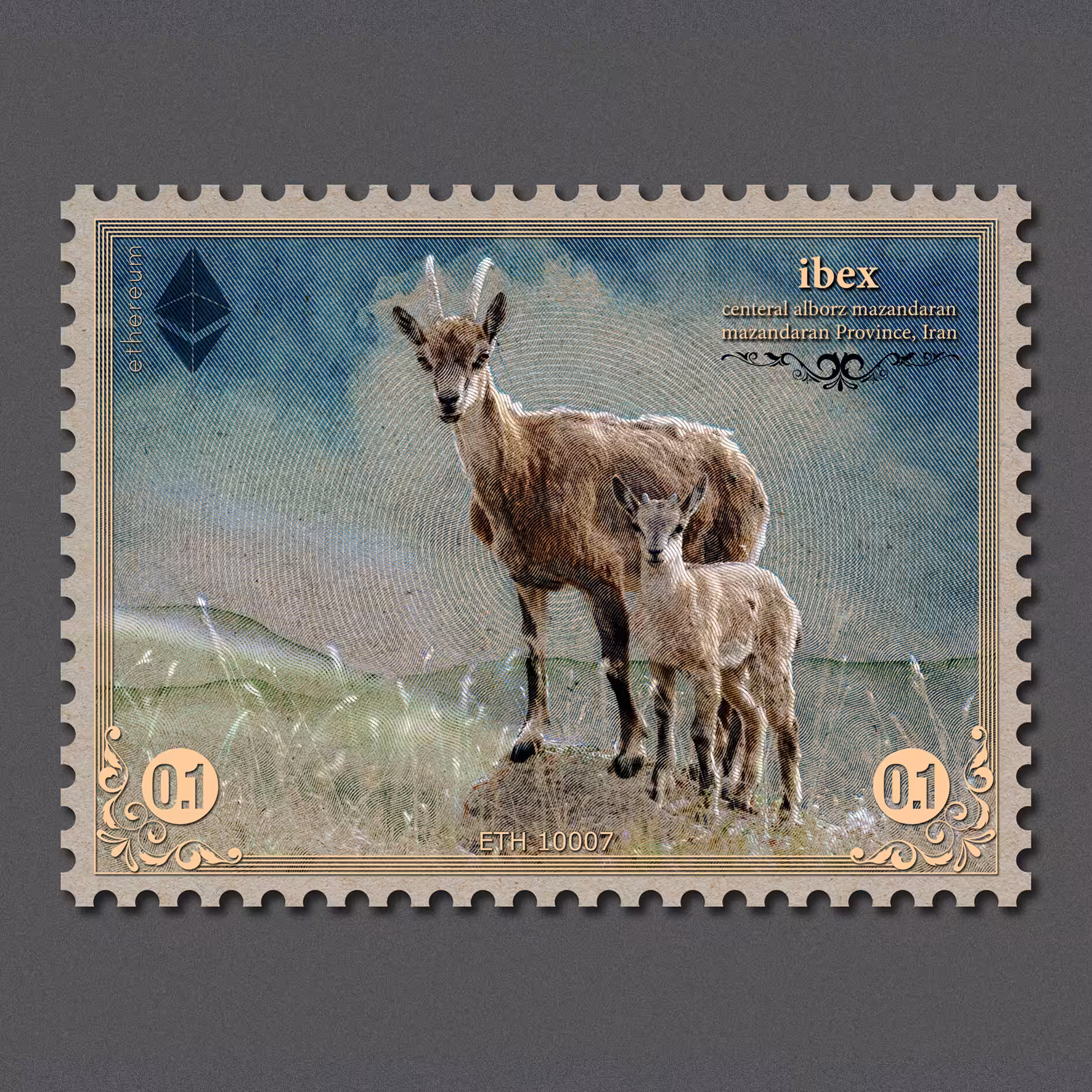 Ibex