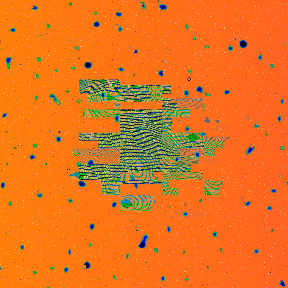 Seed and Spores #11