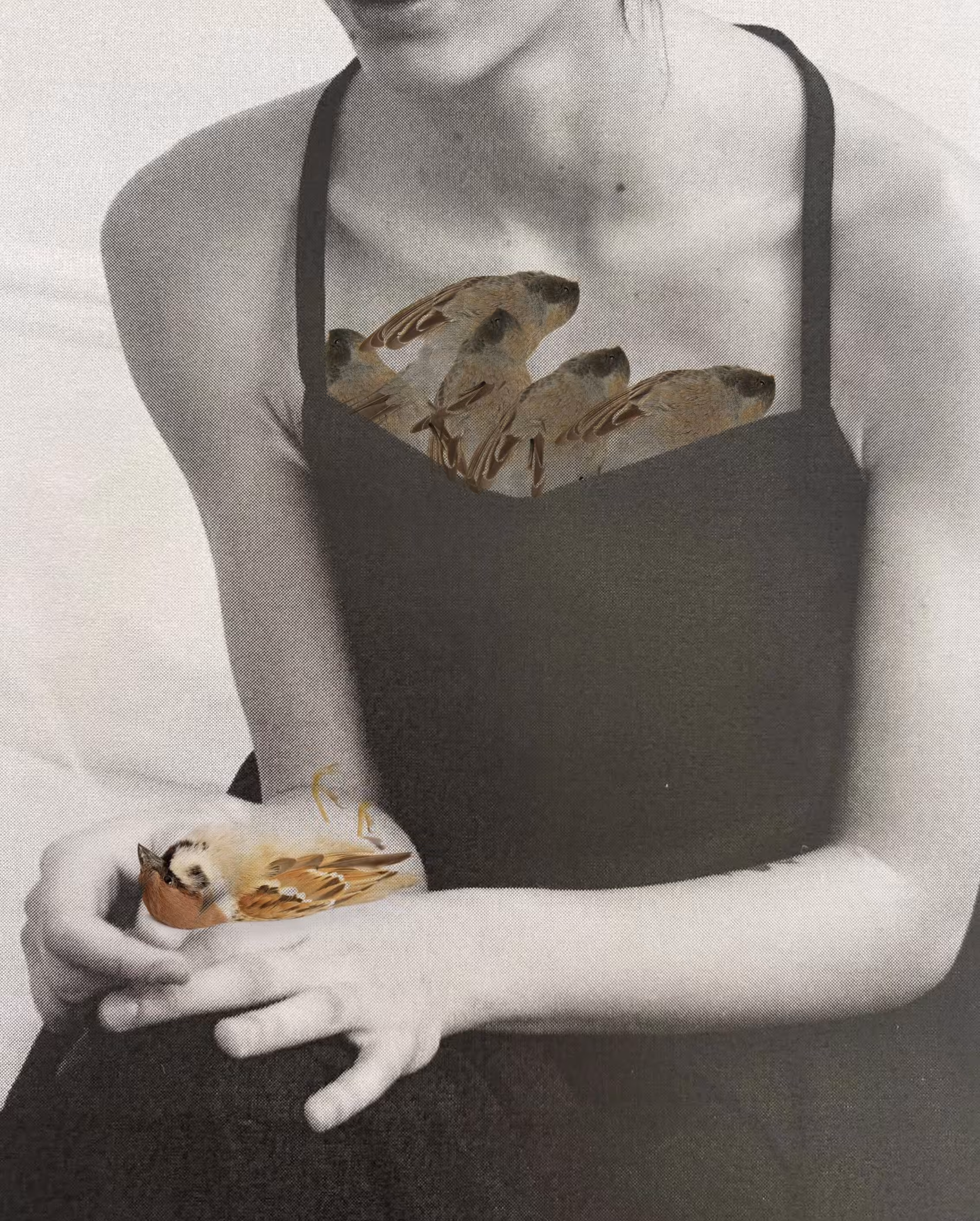WHAT I FEEL: You Killed What Was Left 