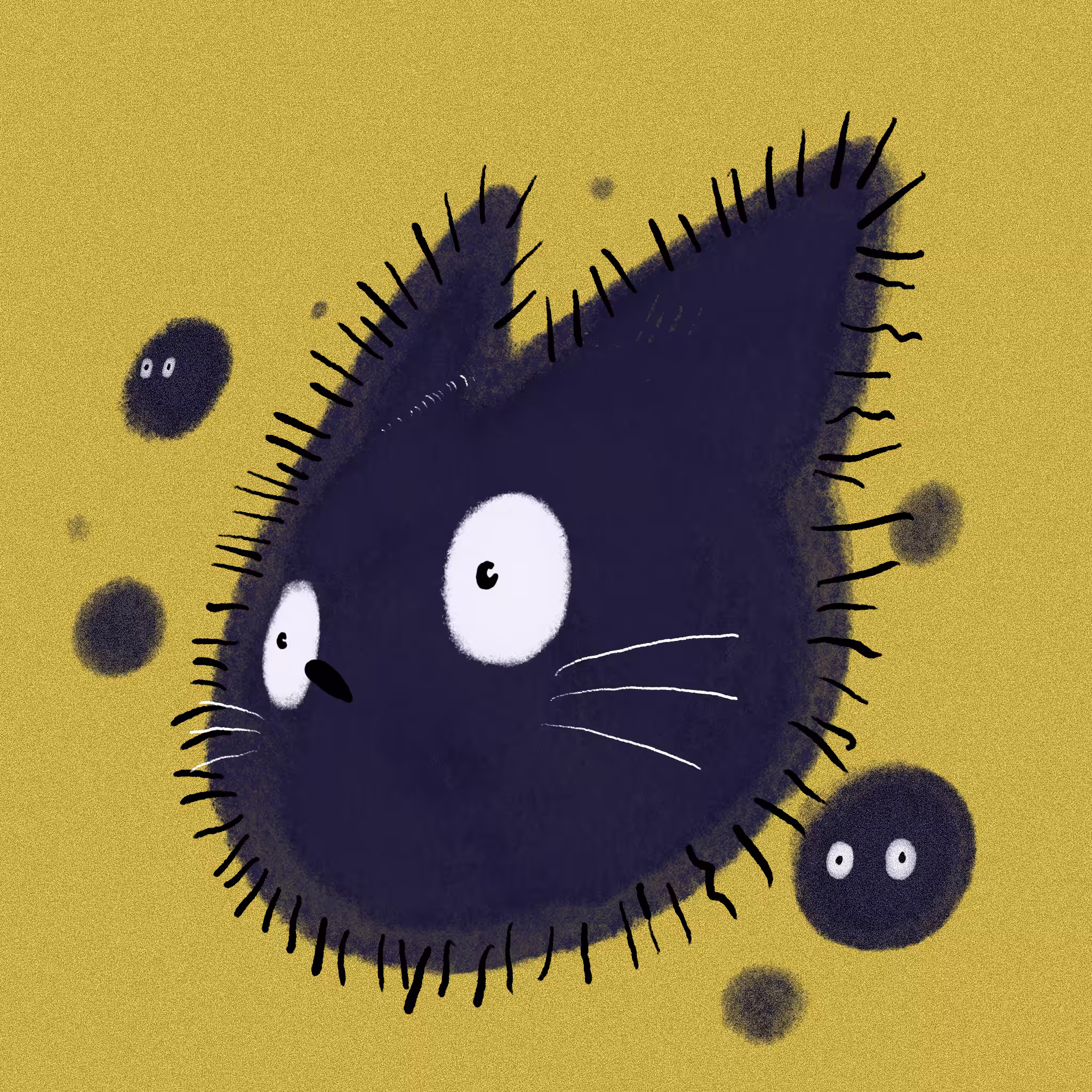 12- ToTocat