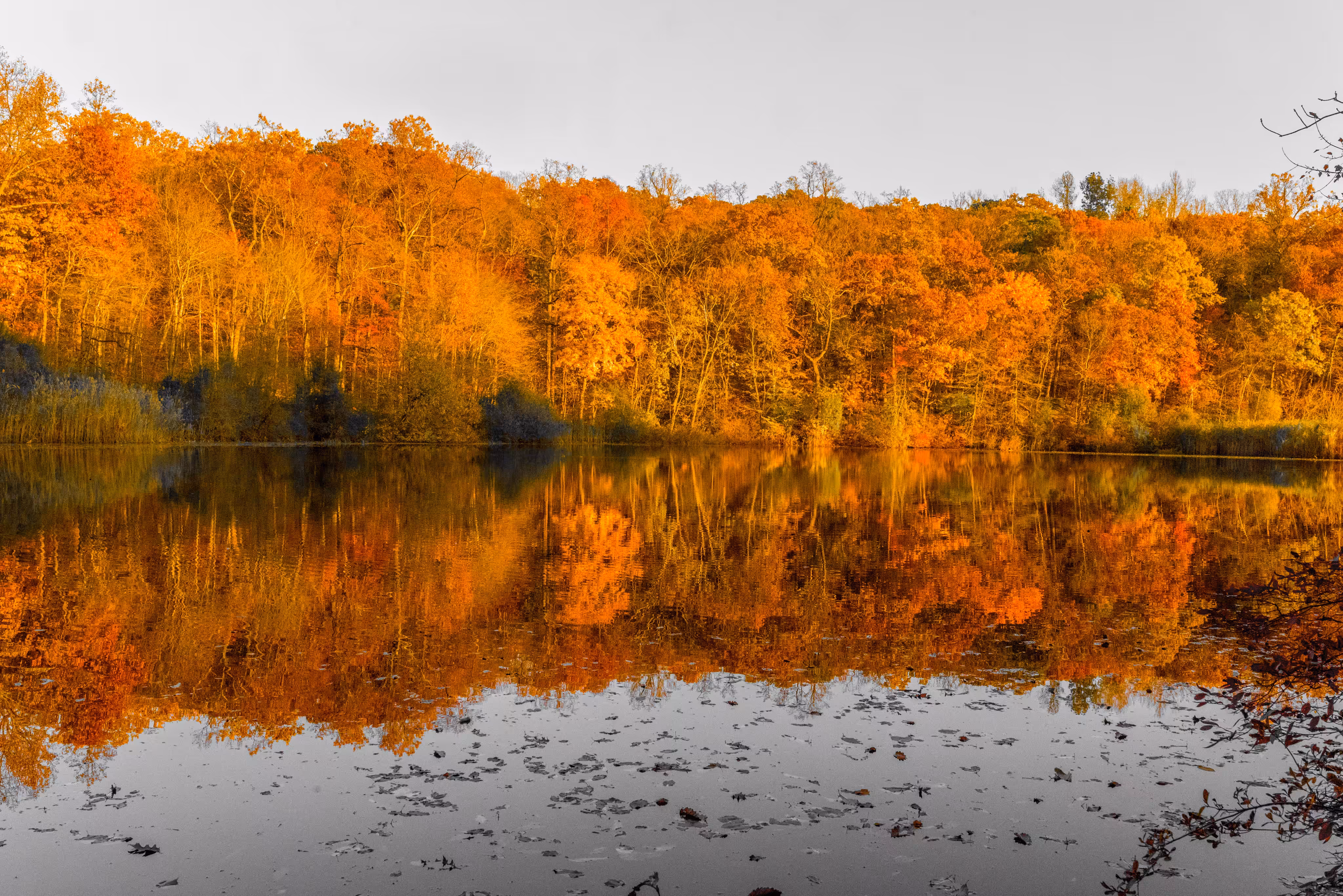 Colorful Reflections 6