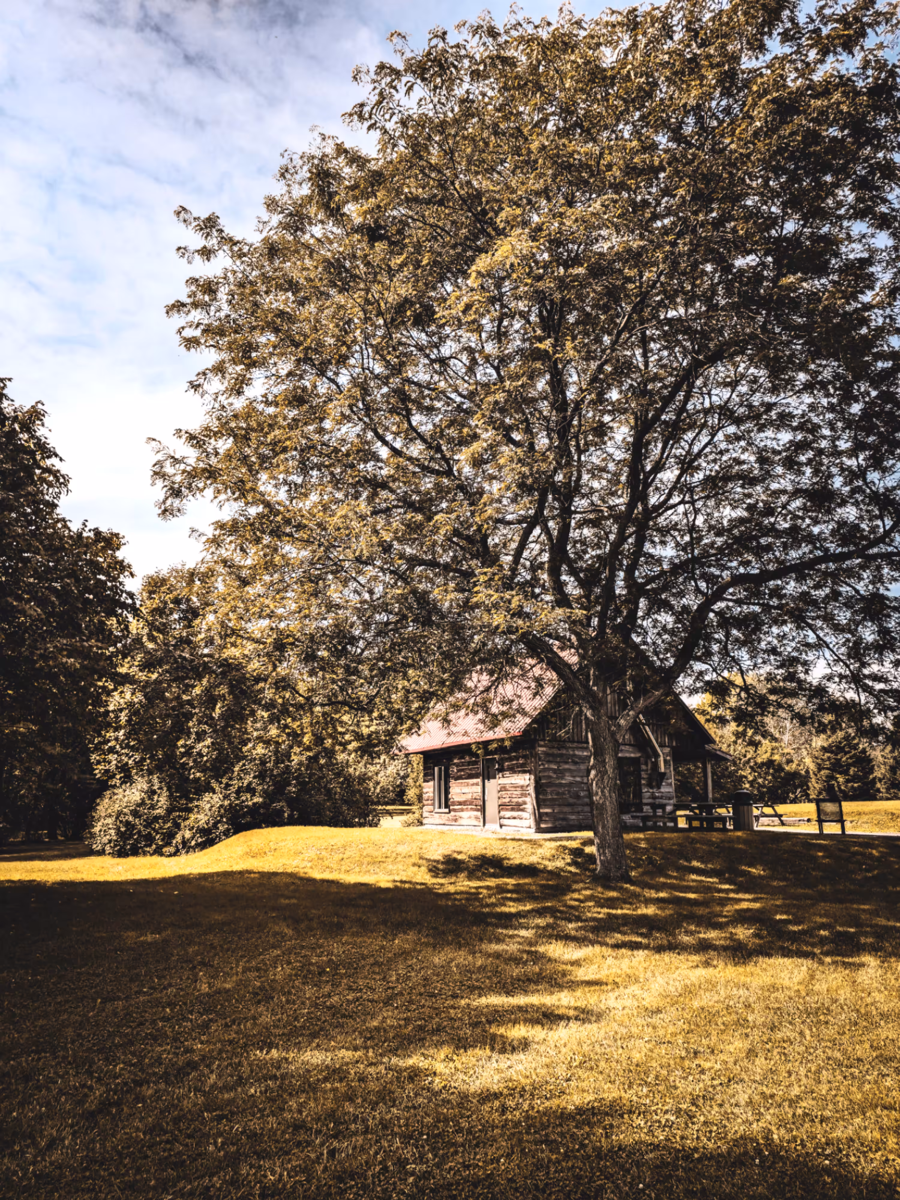The Peaceful Cabin  #01