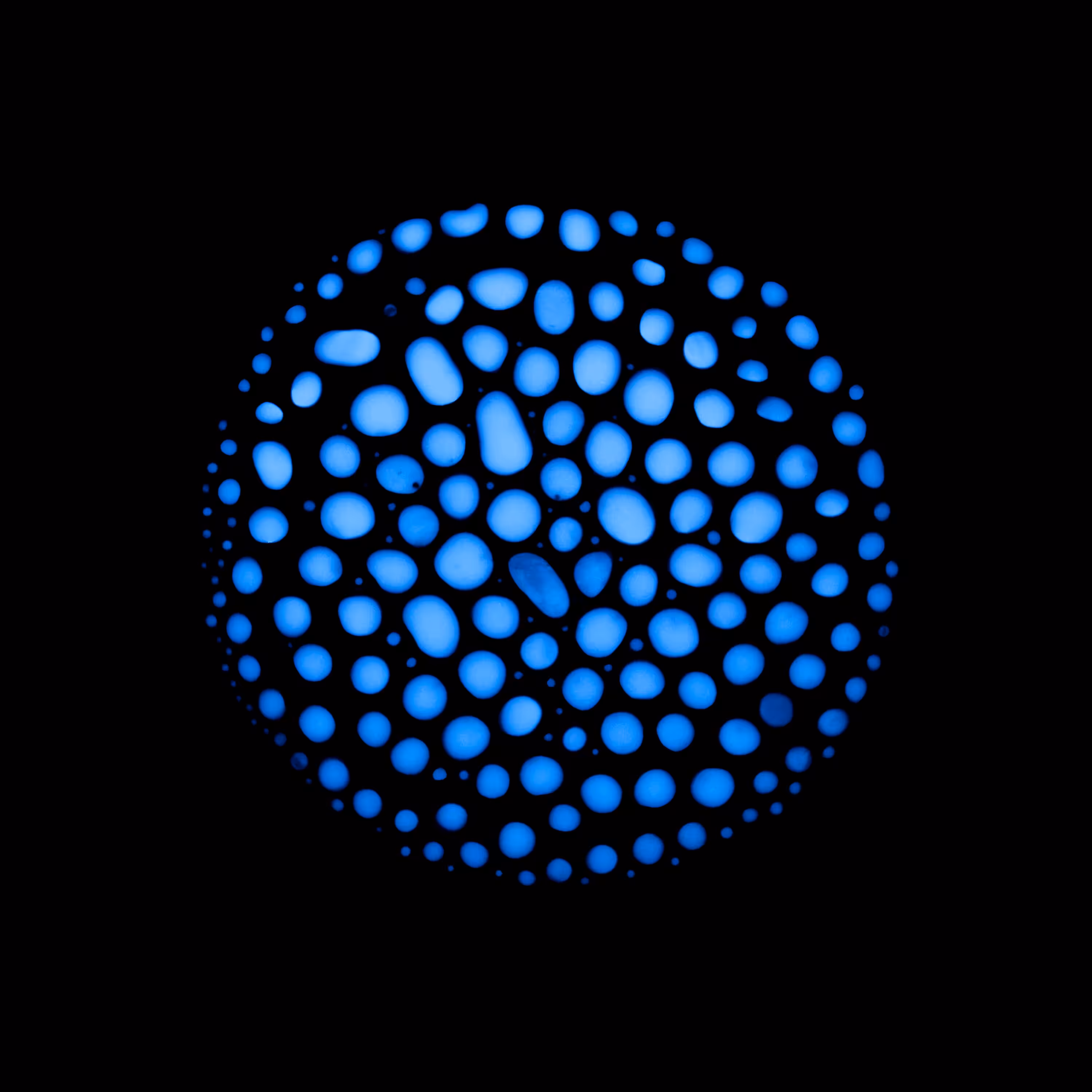 Haematopoiesis #41
