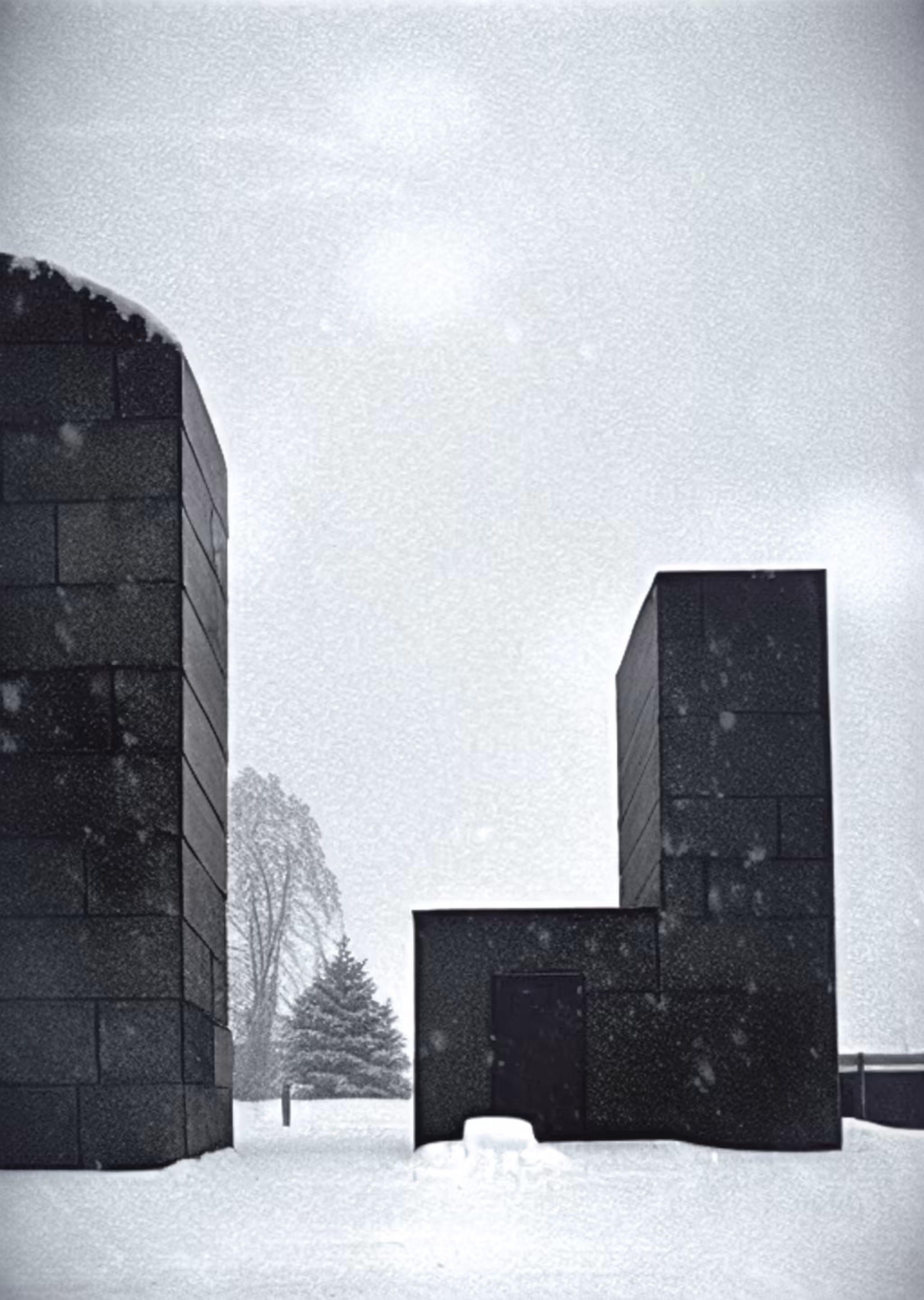 Siberian dream #006