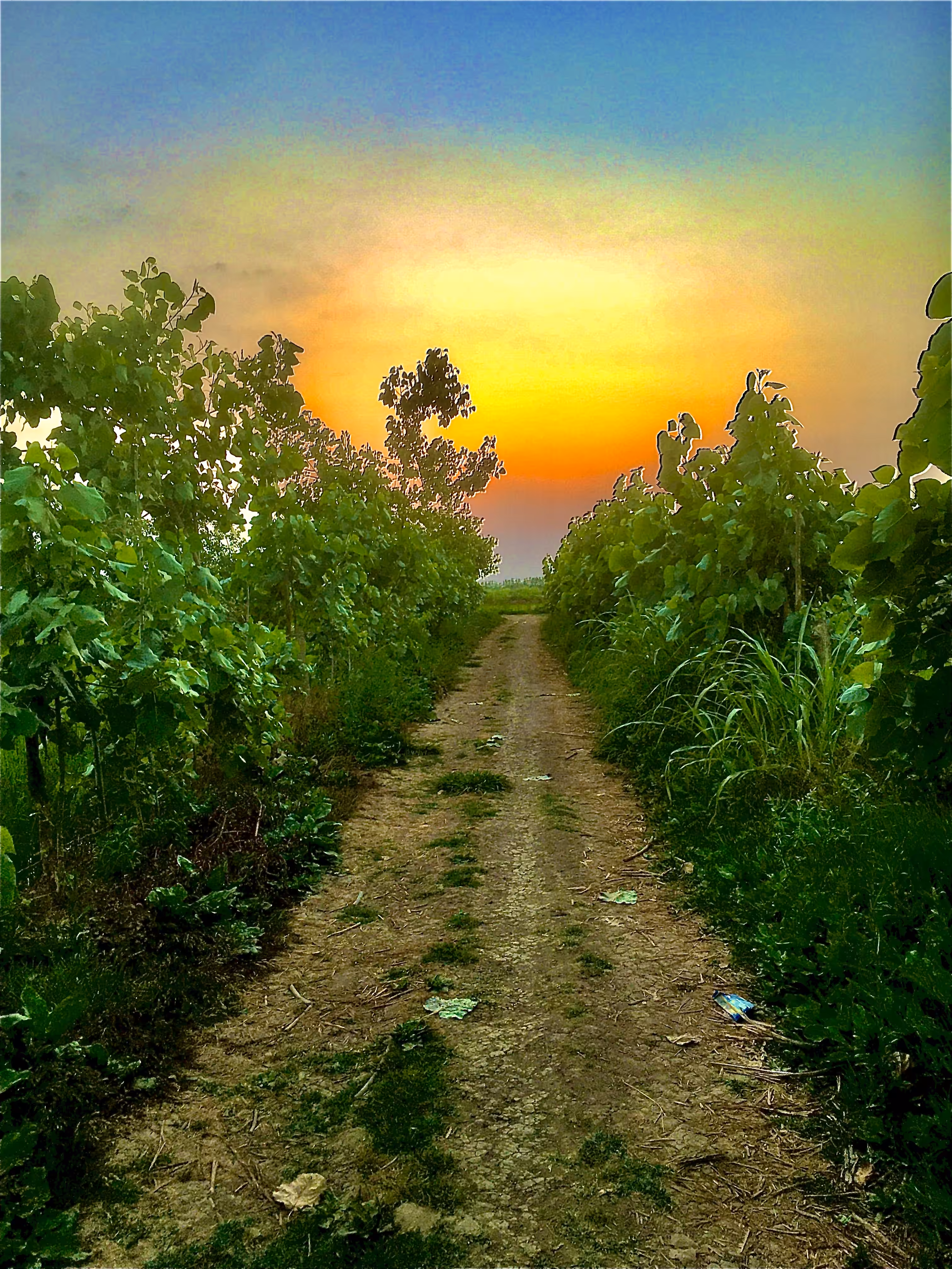 vision: Enjoy the route