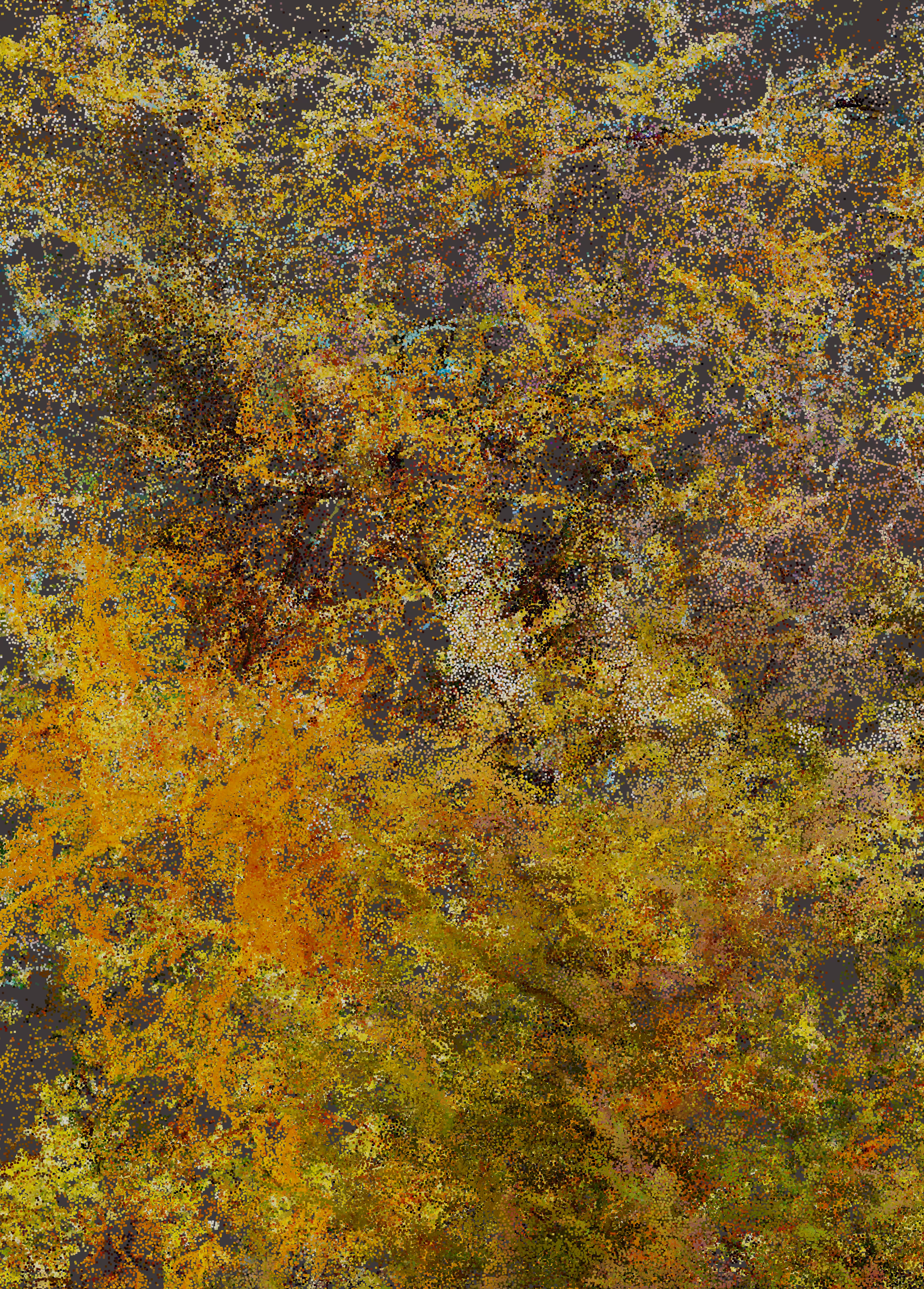 Provence P_02-8