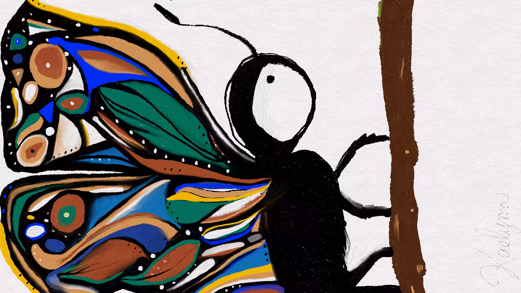 Butterfly