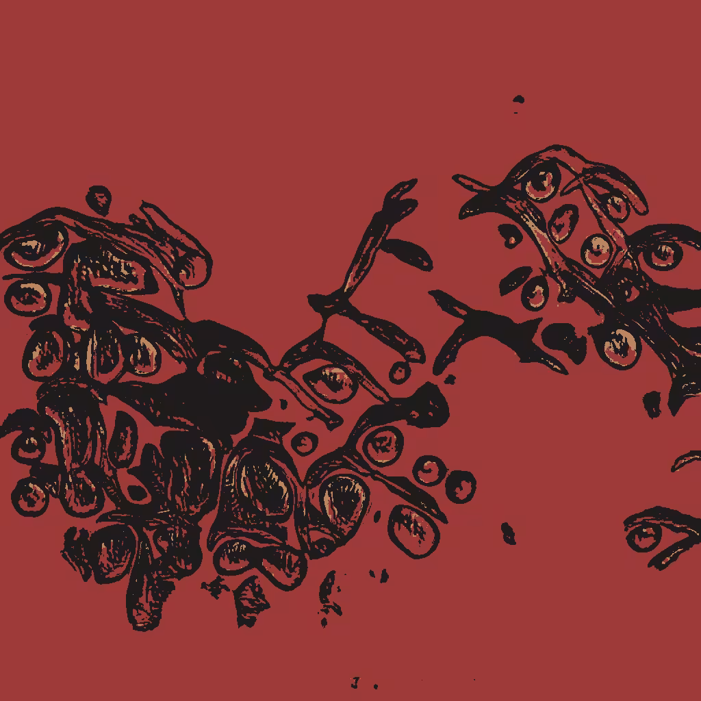 Confluence #556