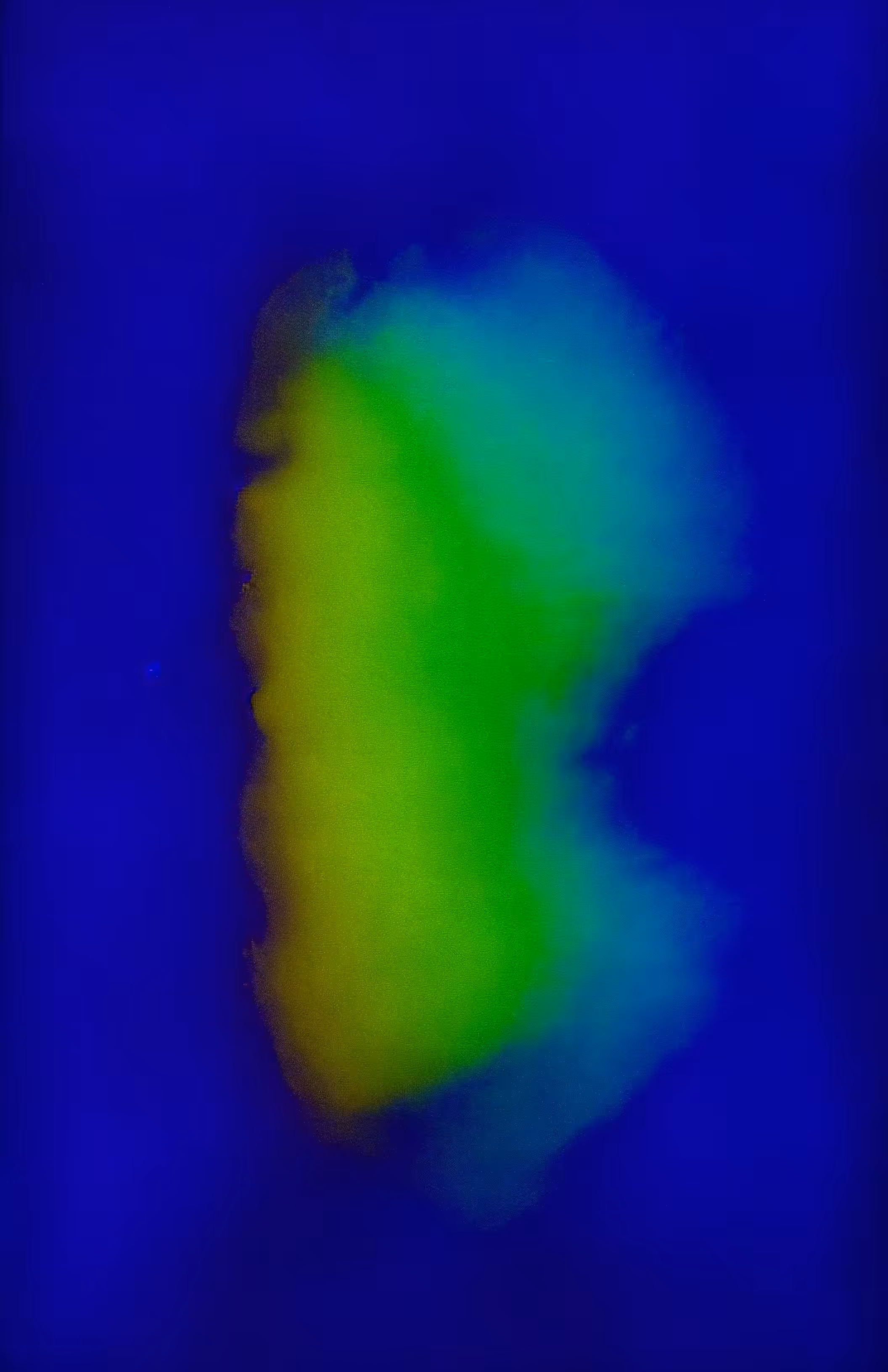 Death Mask Aura Portraits #33