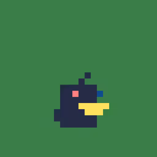 PIRDS #63