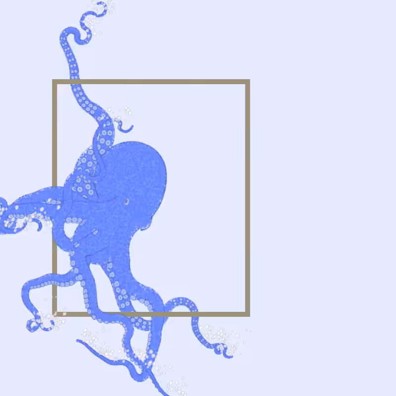 the generative octopuses #2