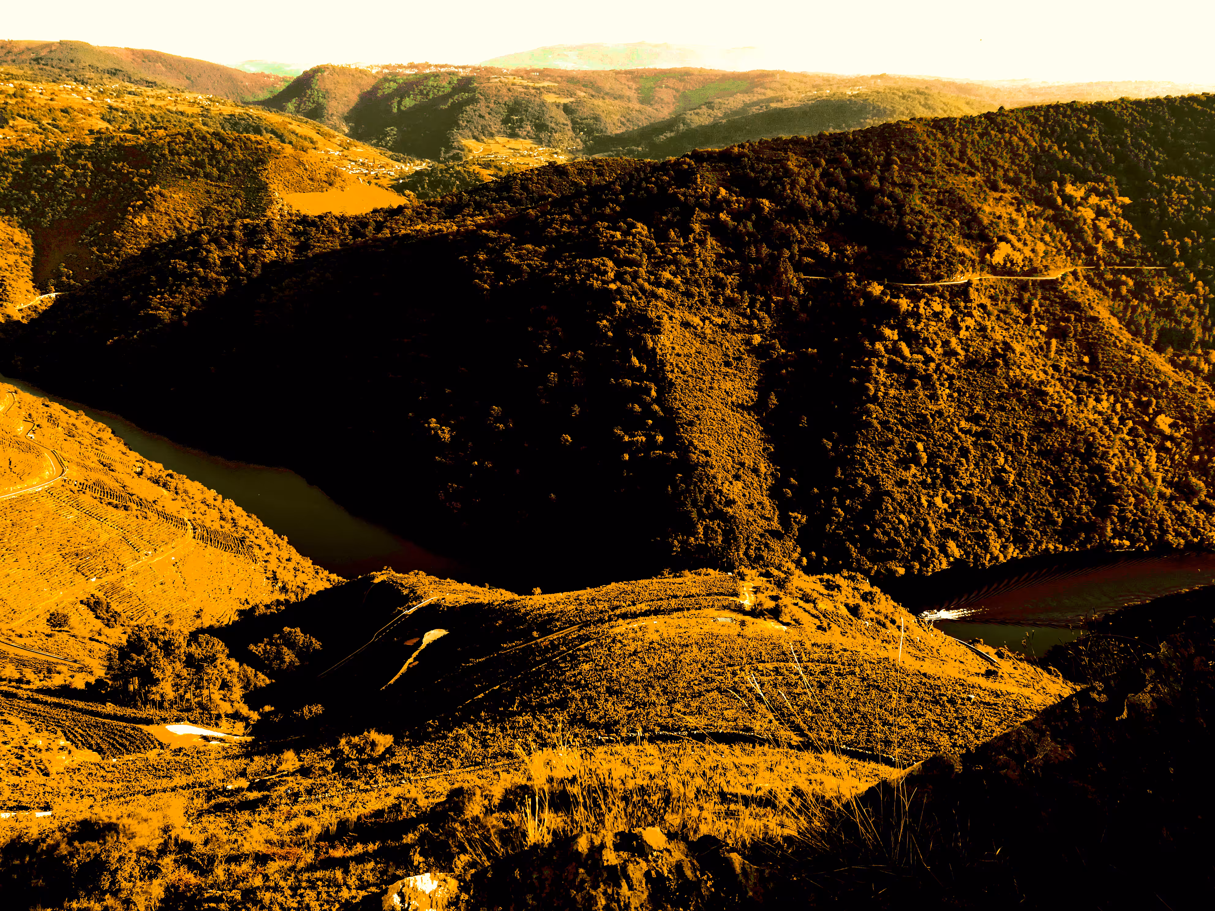 Golden Hill