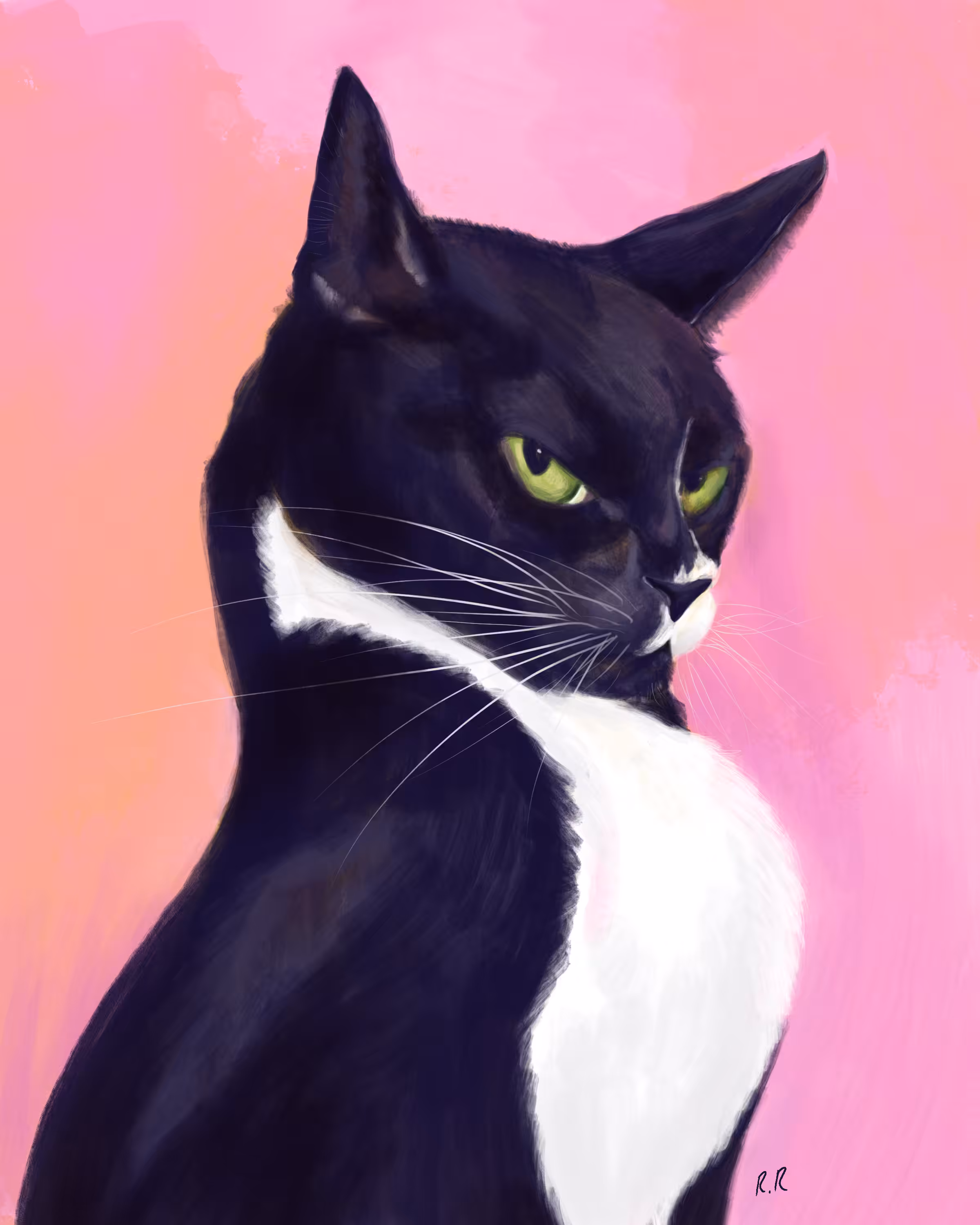 Vasya, The Cat