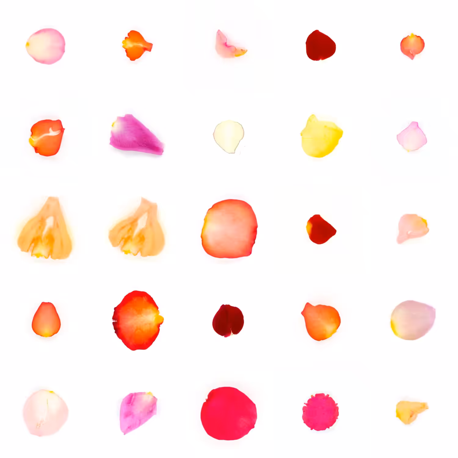 Infinite Petals 5x5#2110