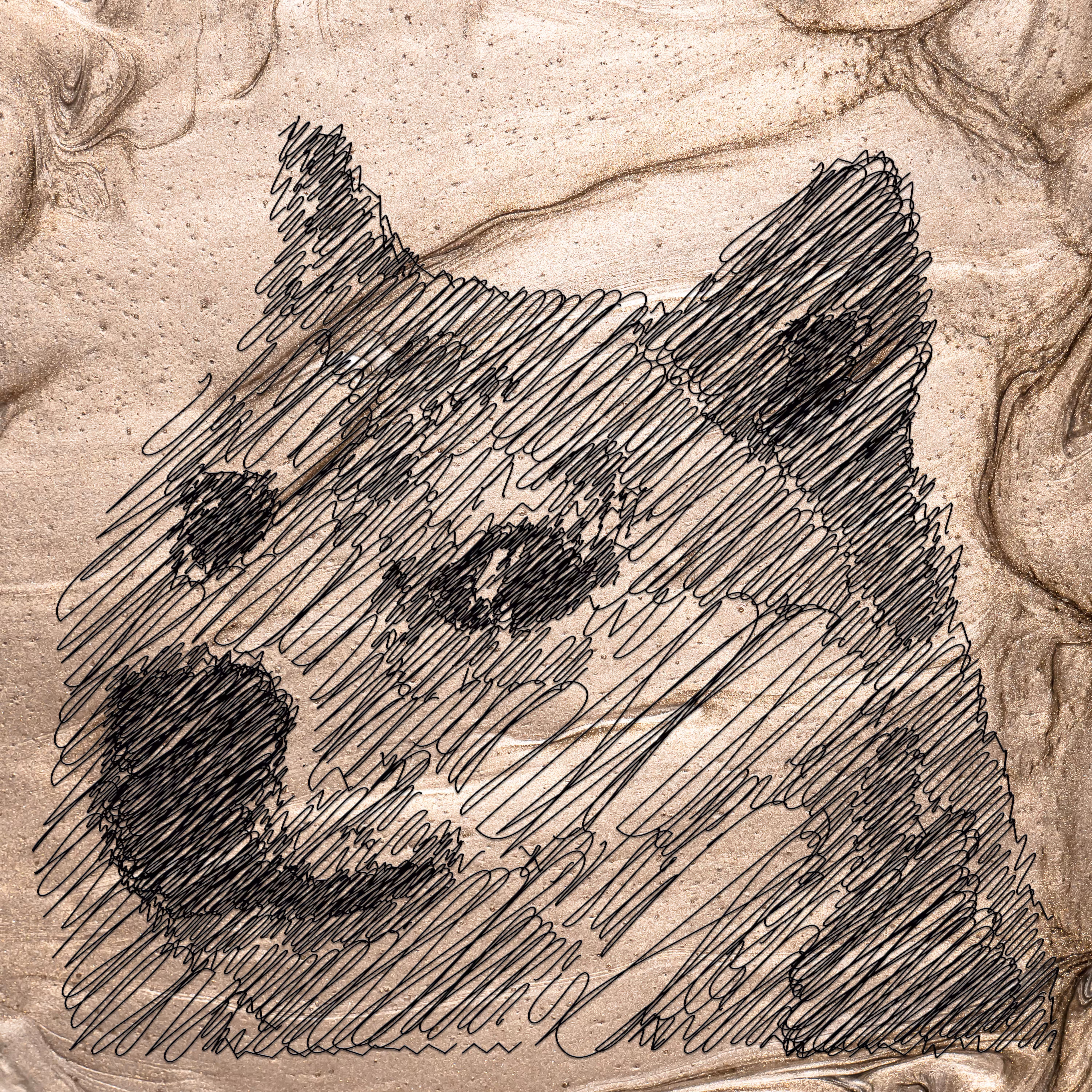 SHIBA BRONZE
