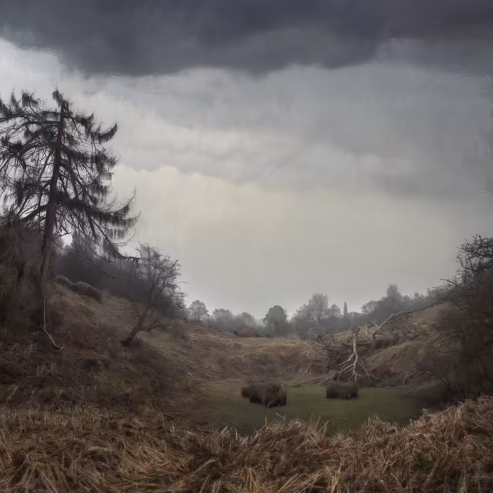 Malediction Fields