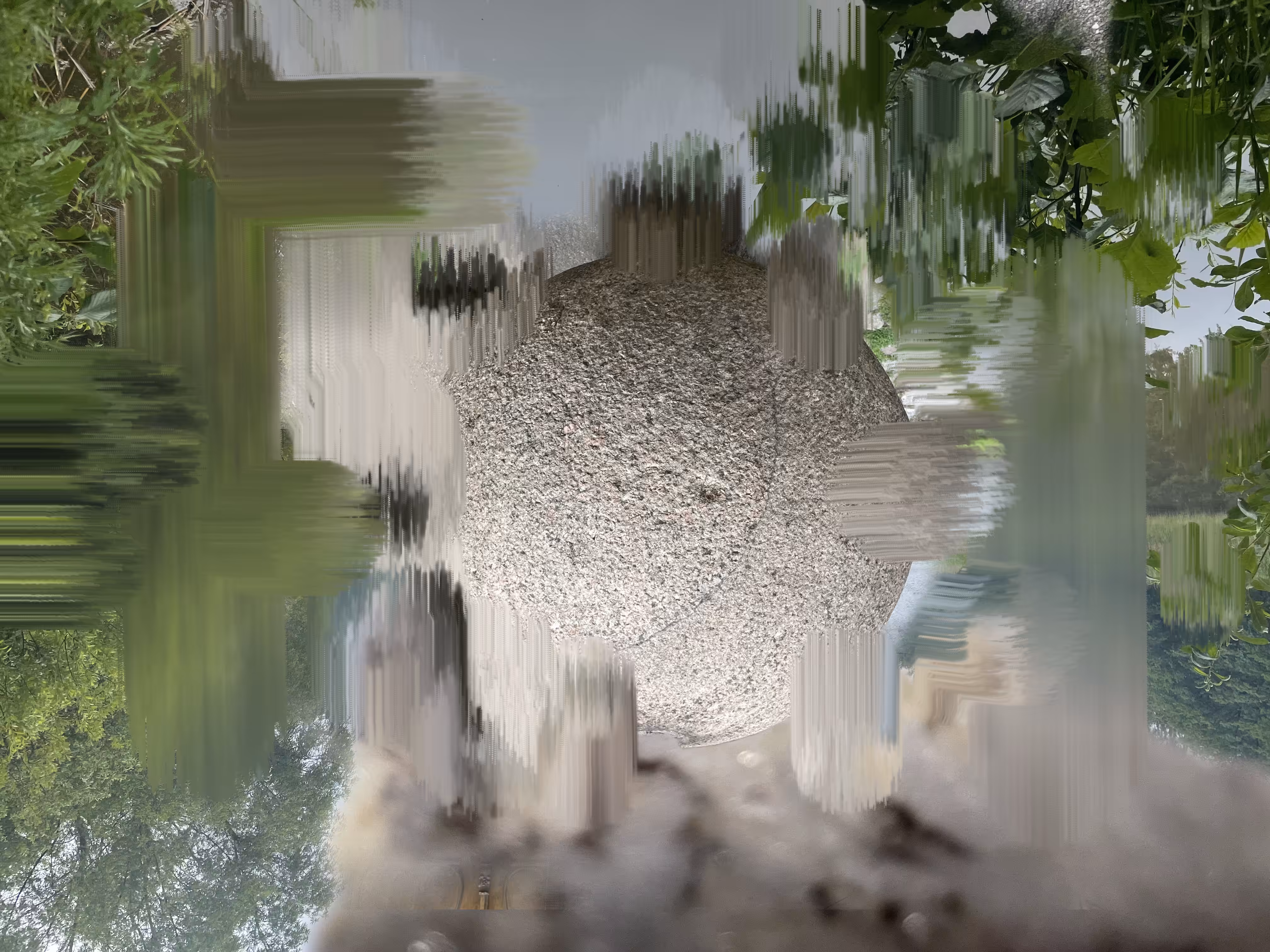 MOON ROT