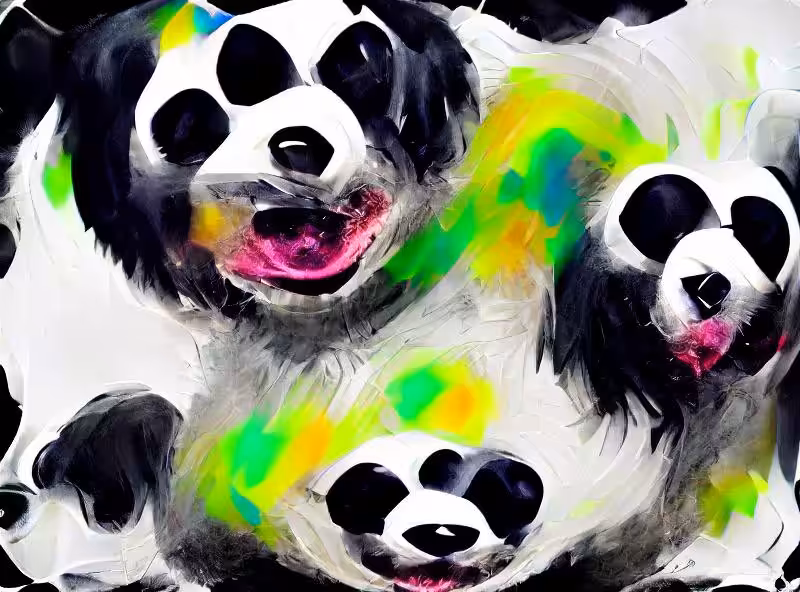 panda dog