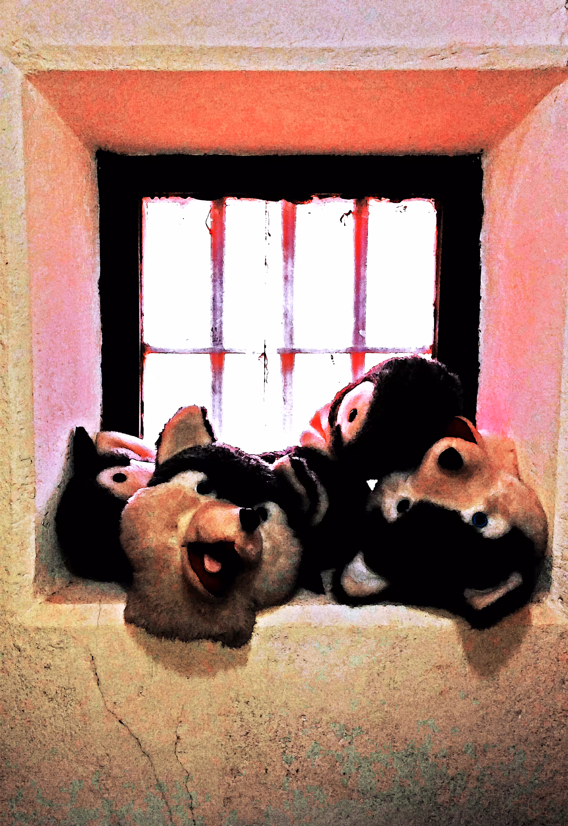 husky and penguin heads