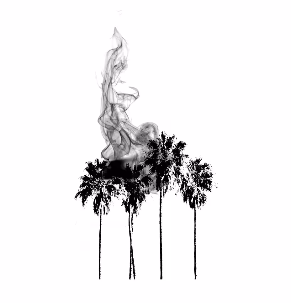LA BURNING